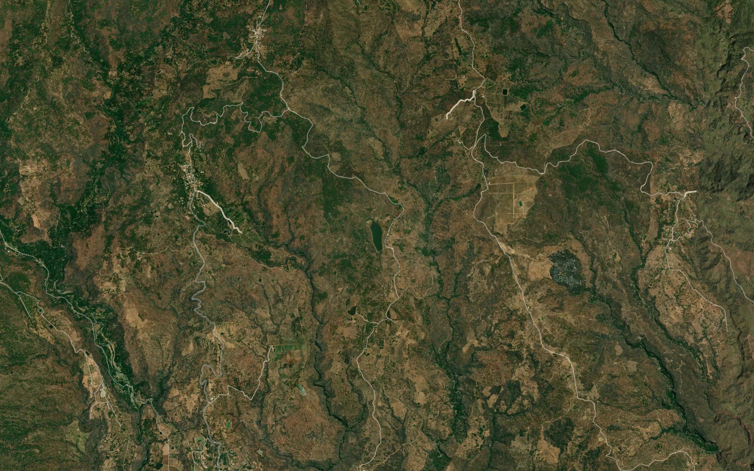 El Carrizalillo