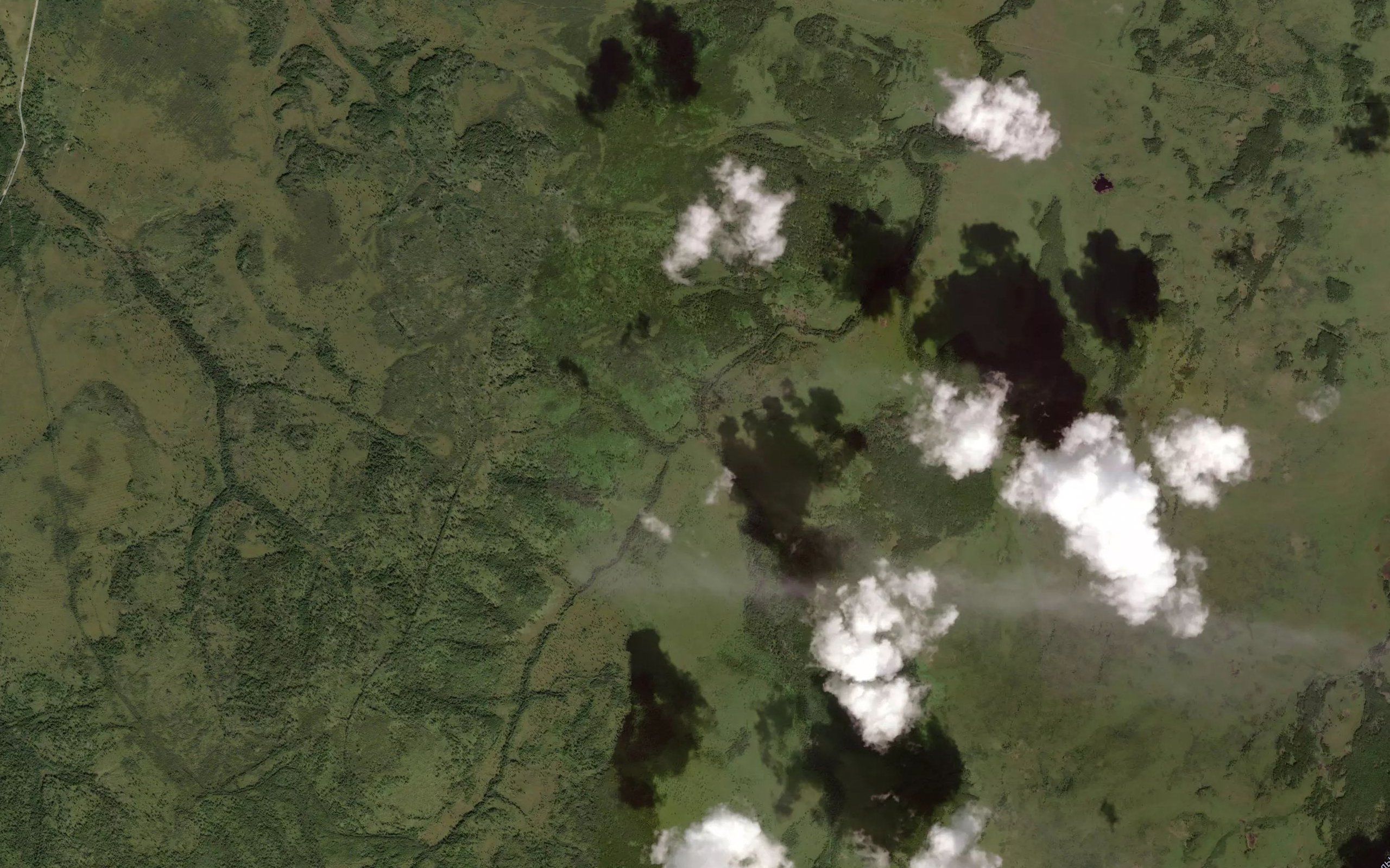 Urundinka