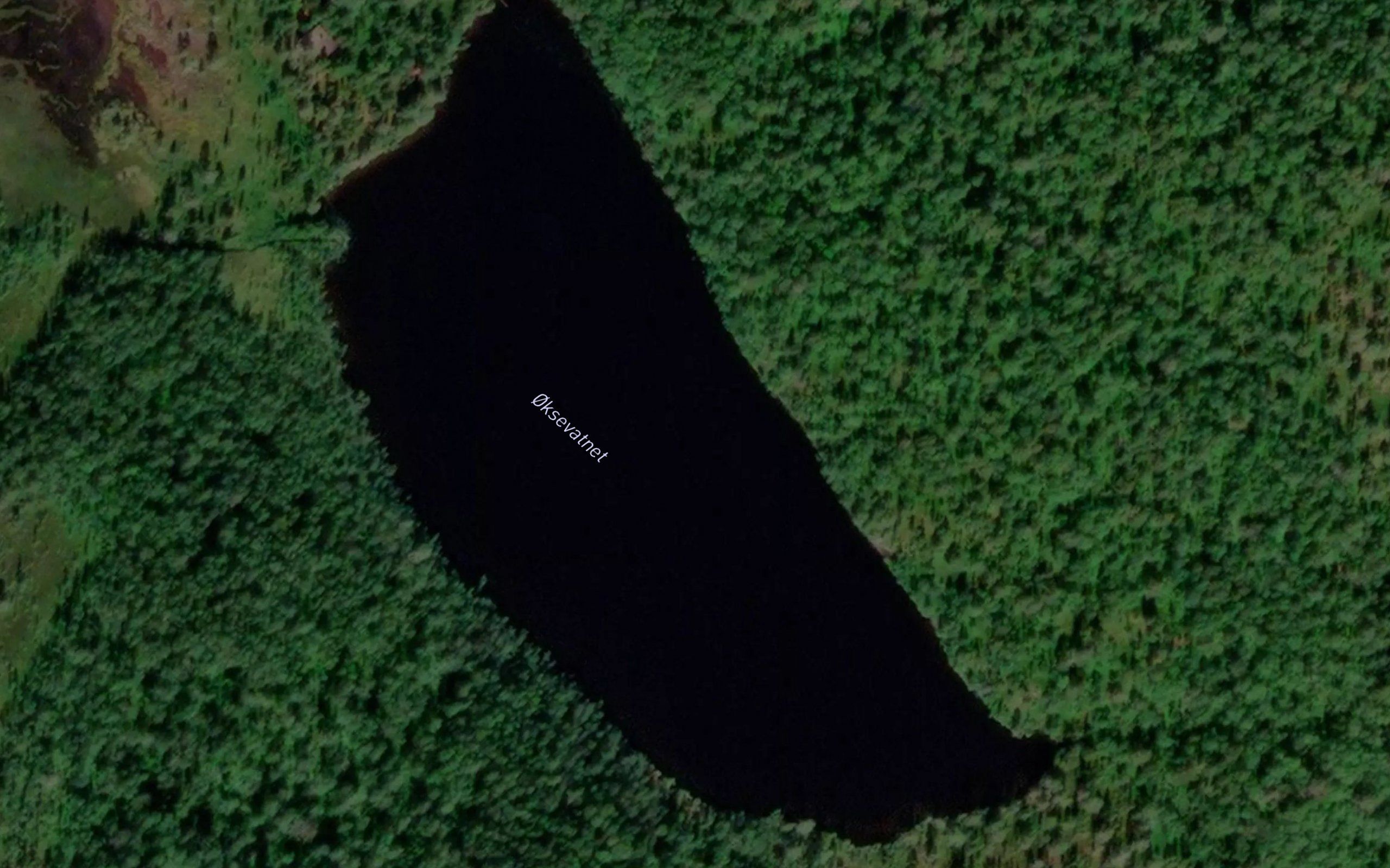 Oksevatnet
