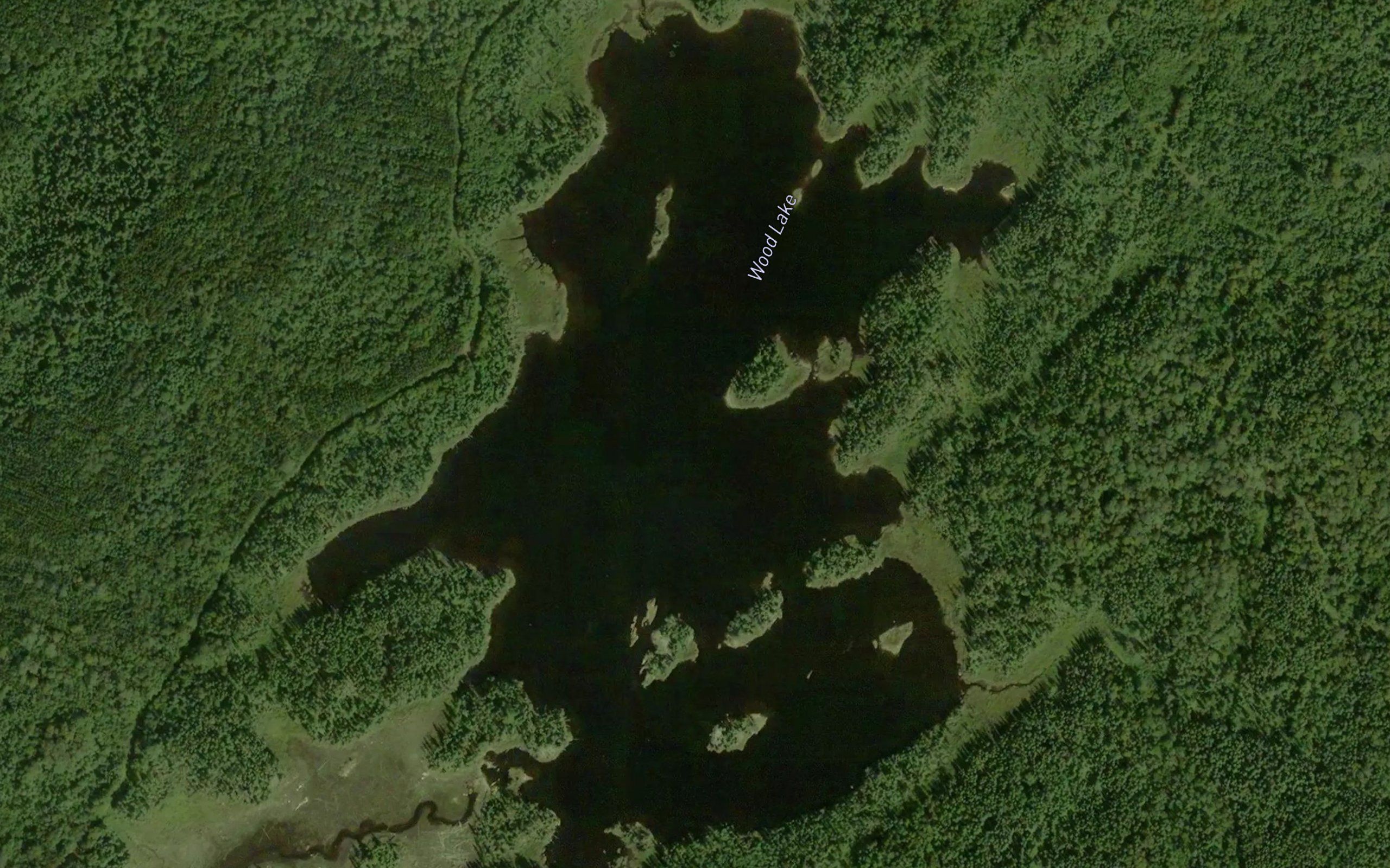 Wood Lake