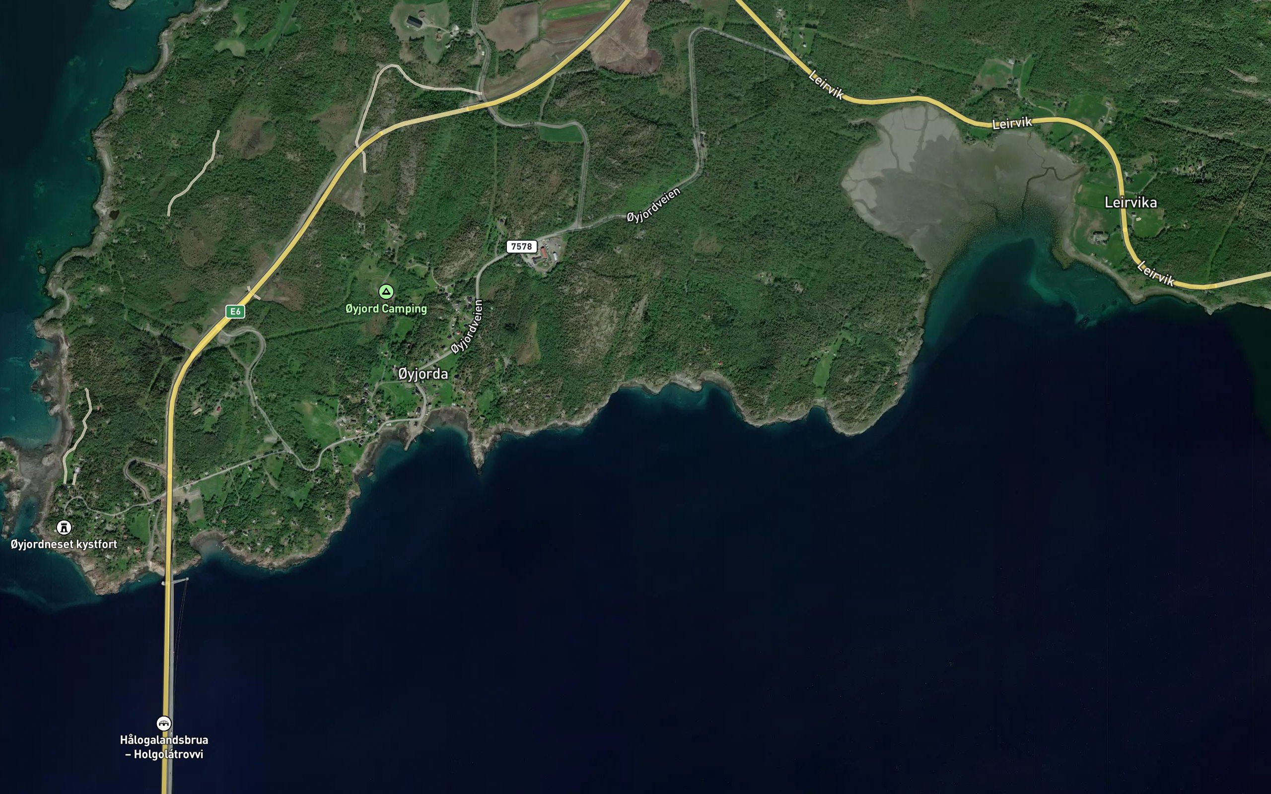 Storskjevika