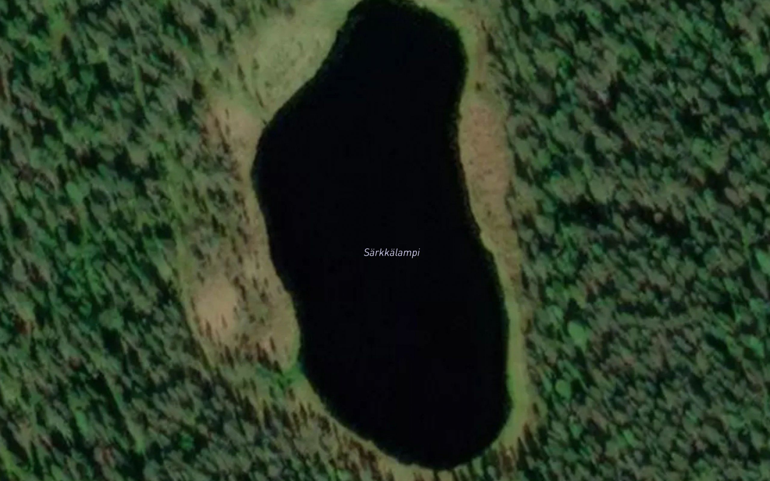 Sarkkalampi