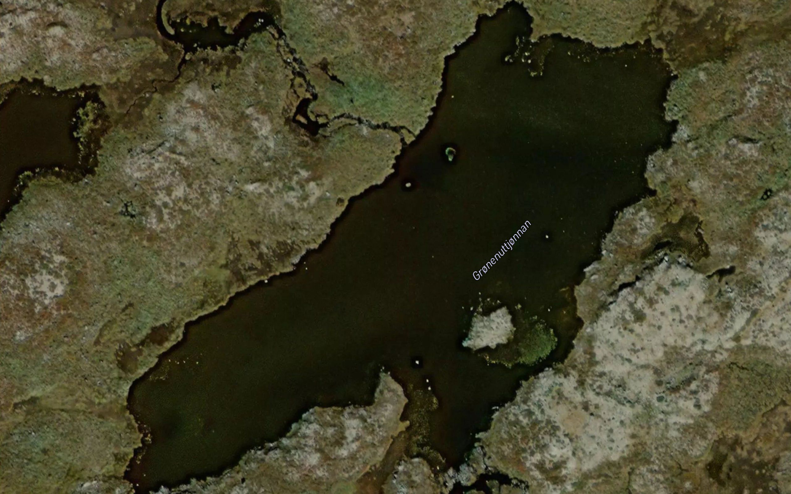 Gronenuttjonnan