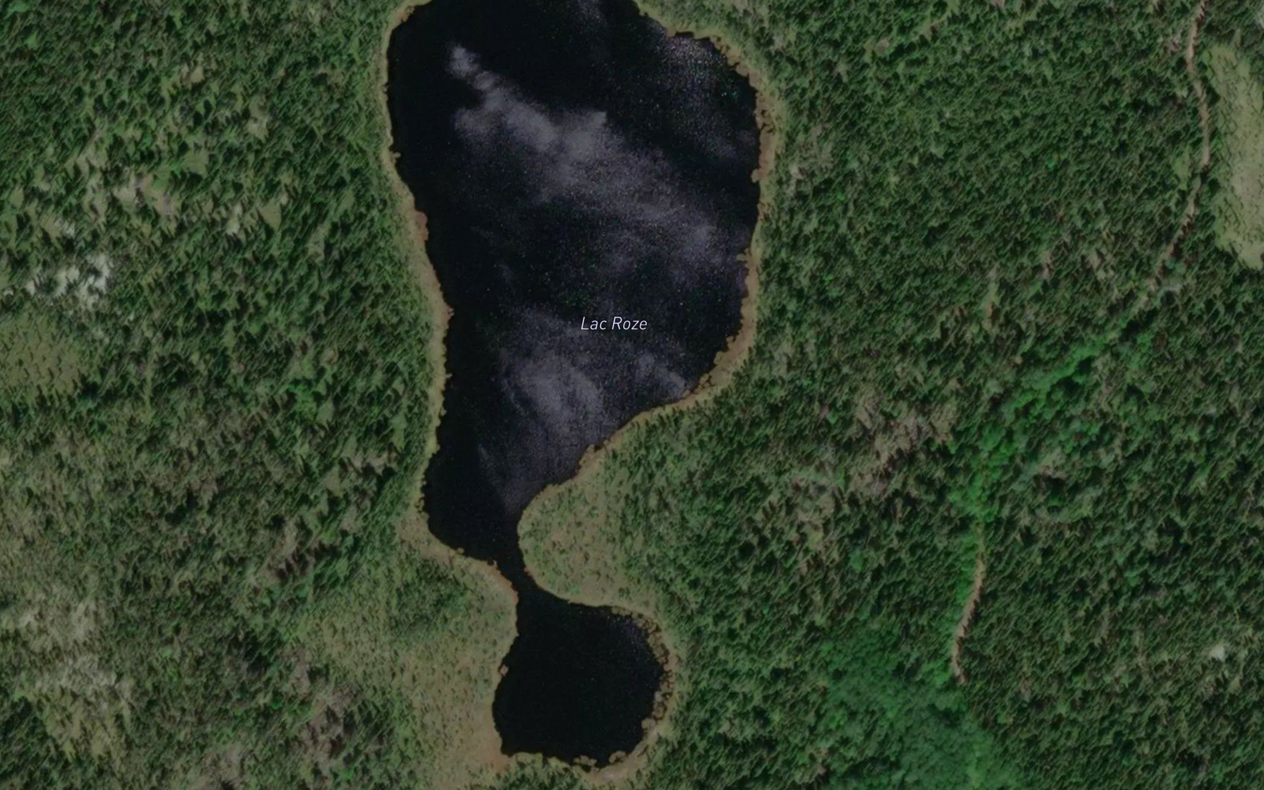 Lac Roze