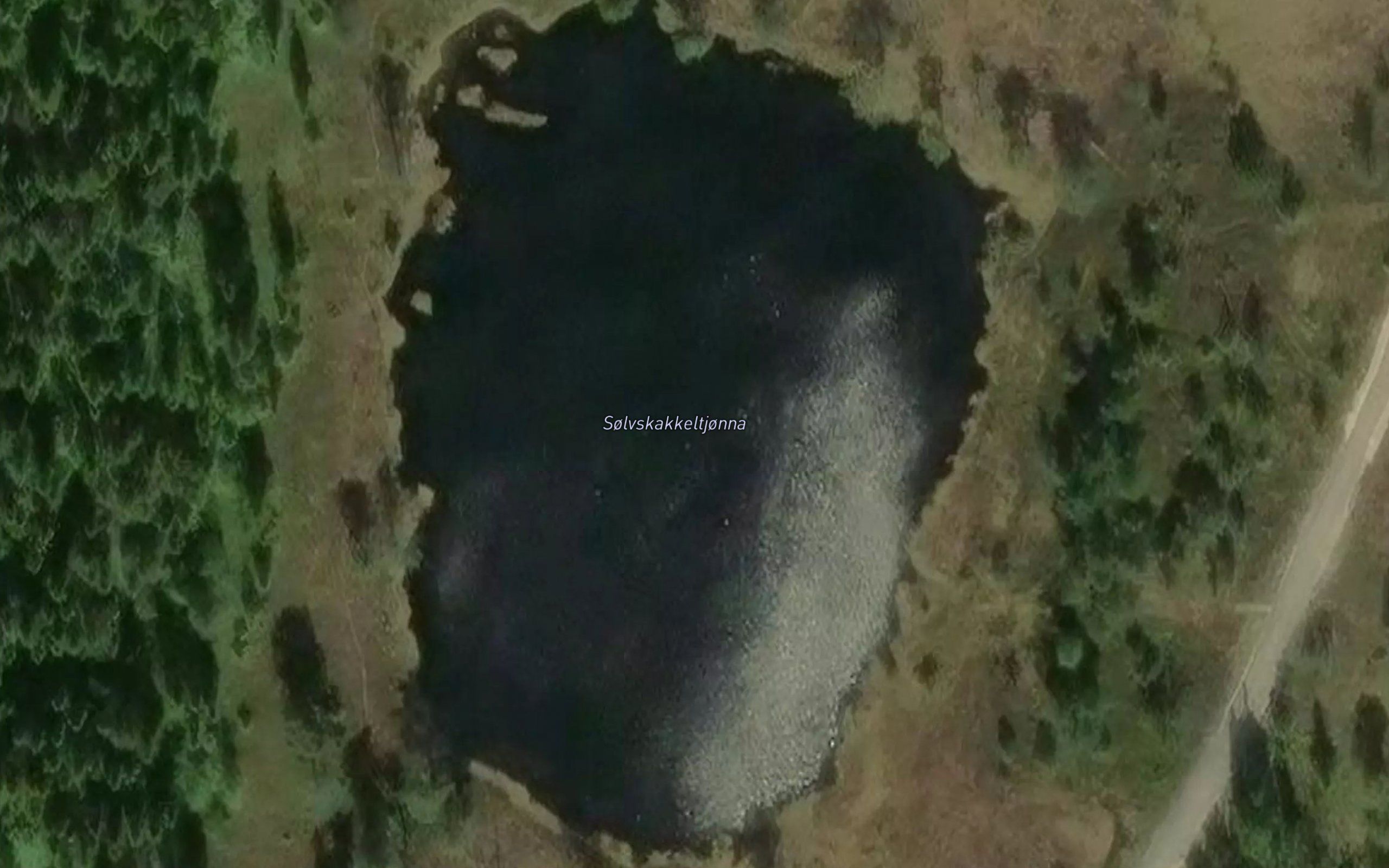 Solvskakkeltjorna