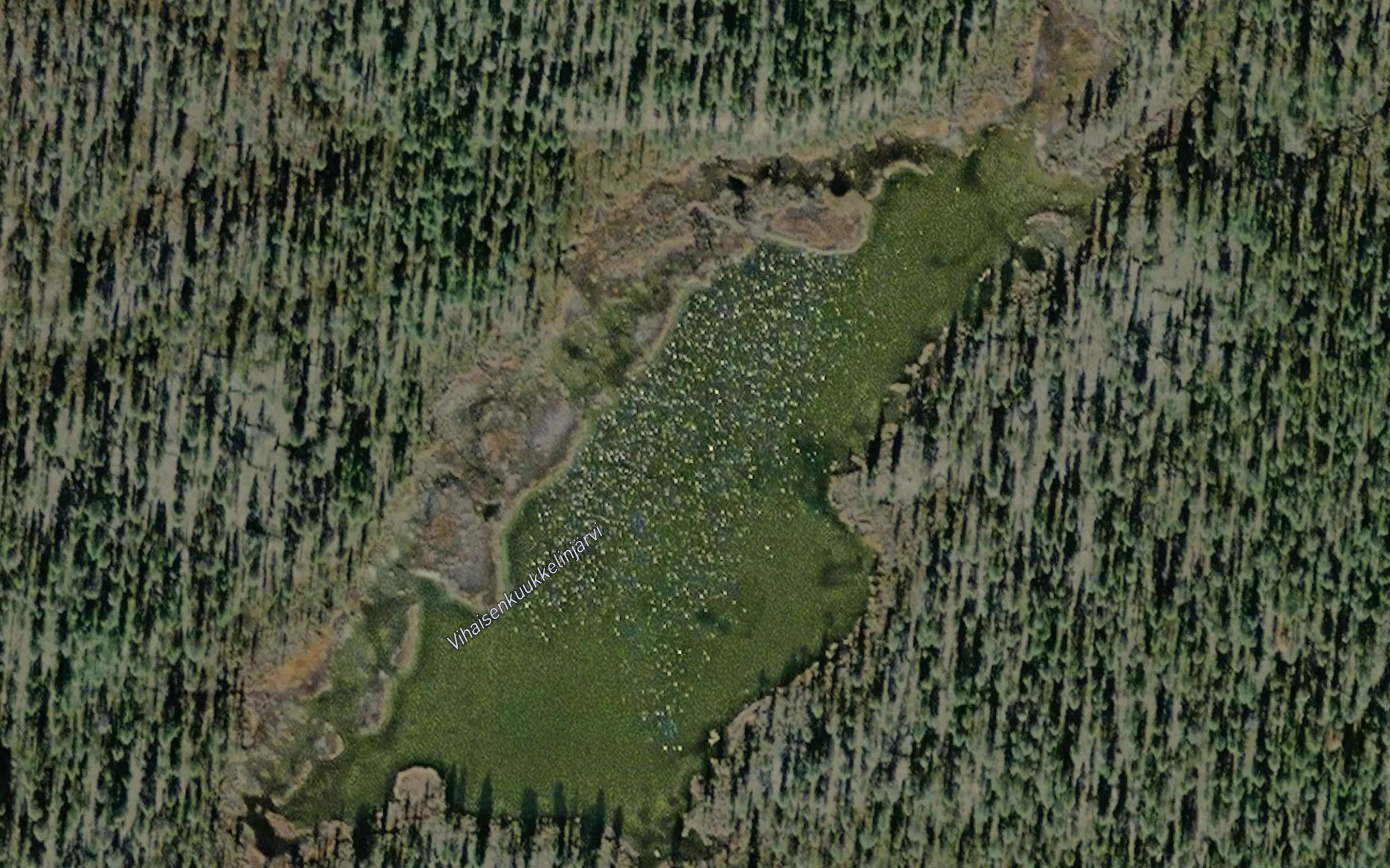 Vihaisenkuukkelinjarvi