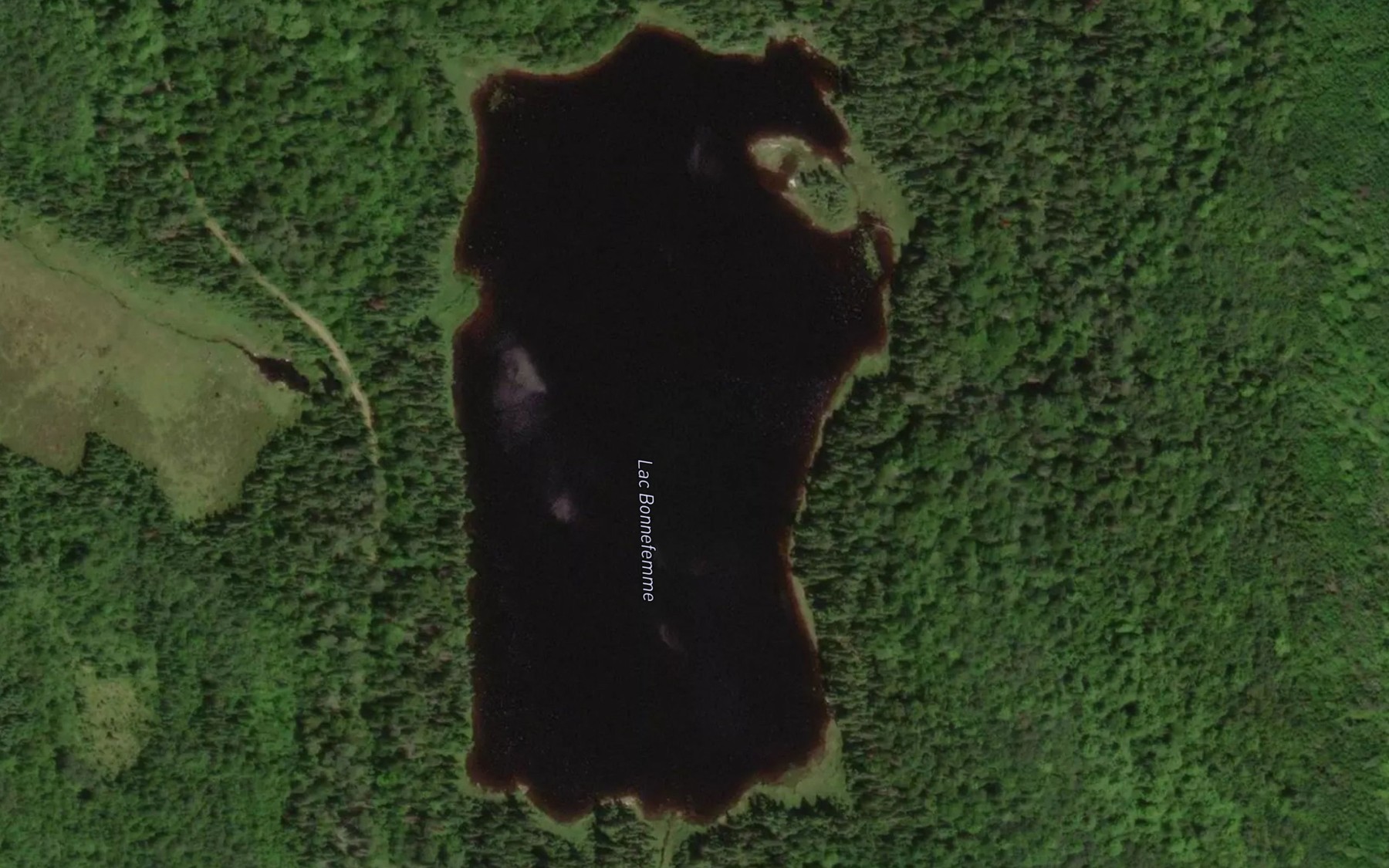 Satellite map of the Lac Bonnefemme