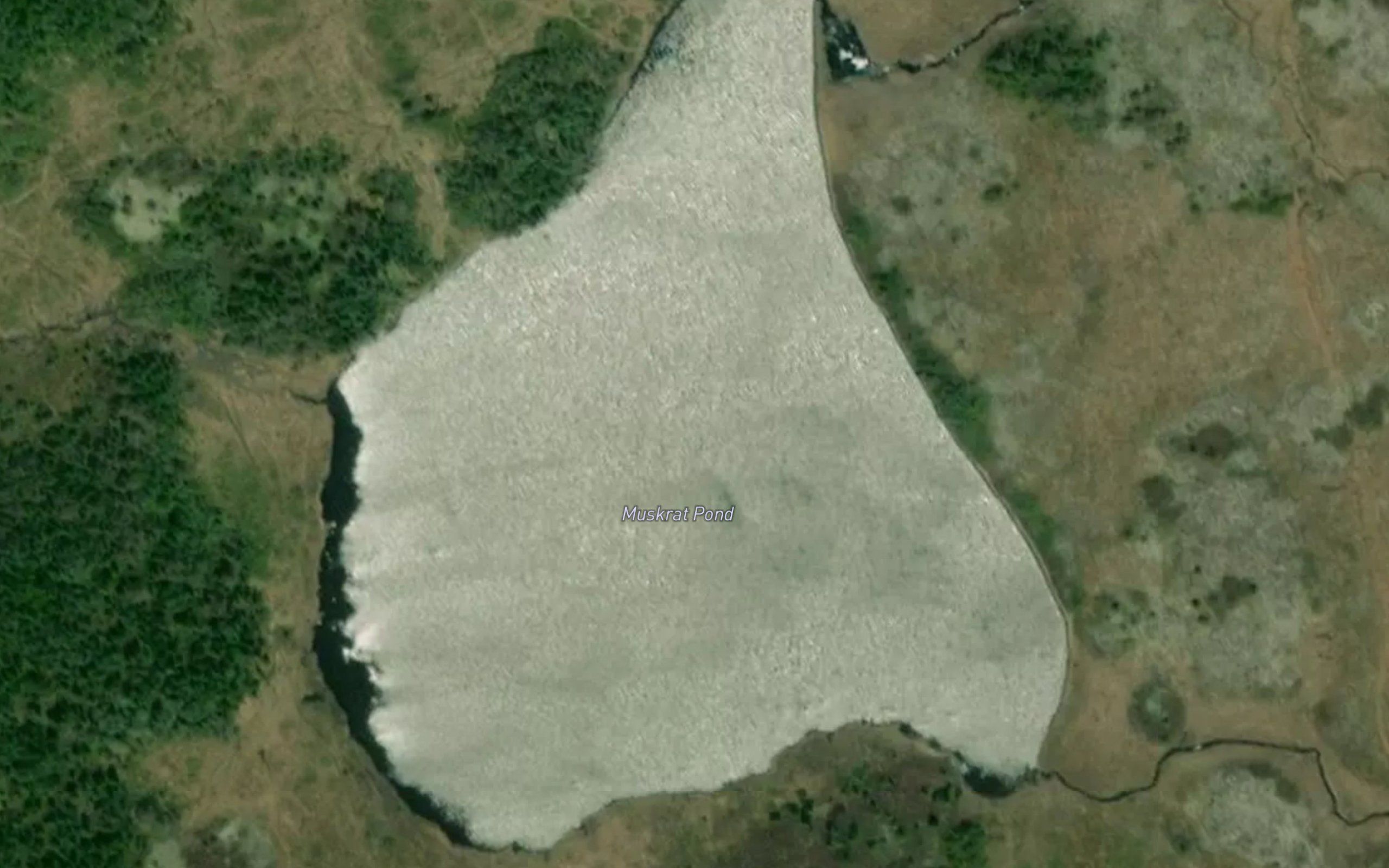 Muskrat Pond