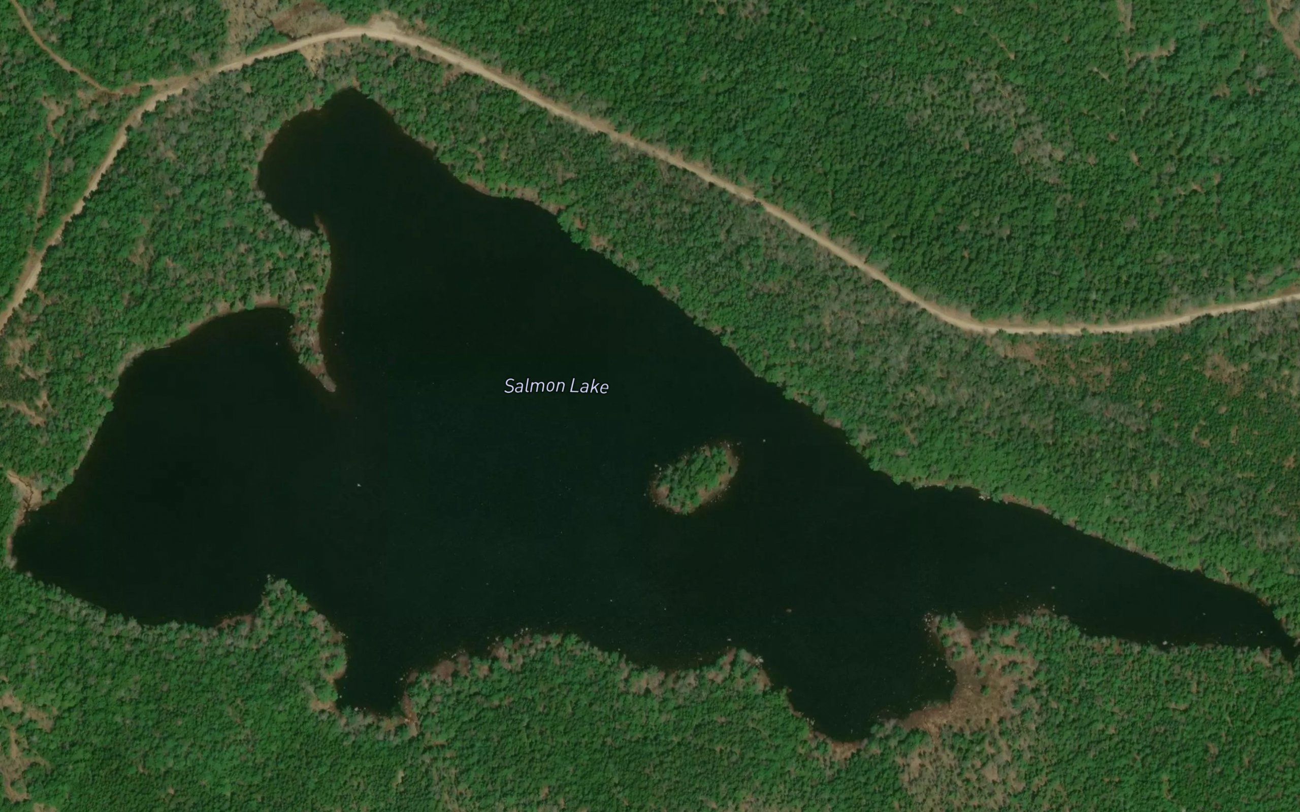 Salmon Lake