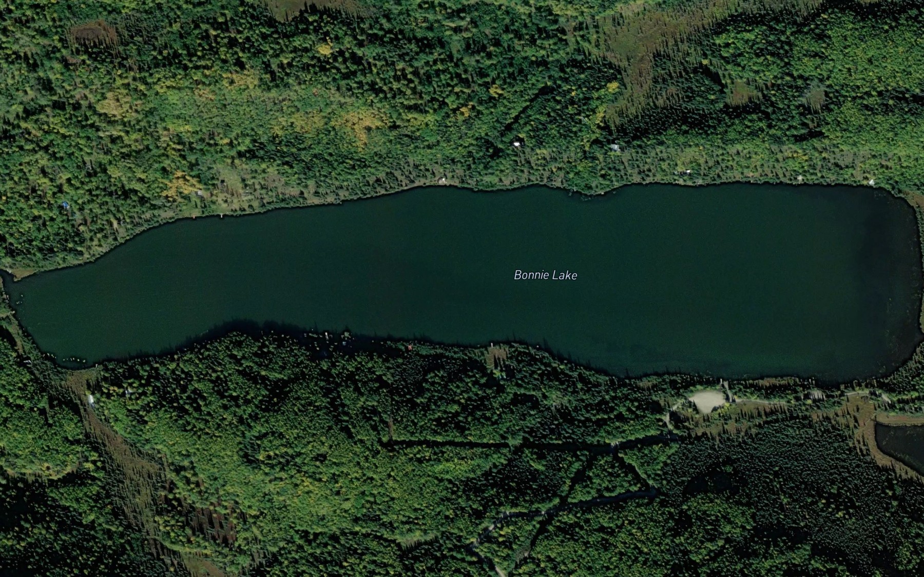 Satellite map of the Bonnie Lake