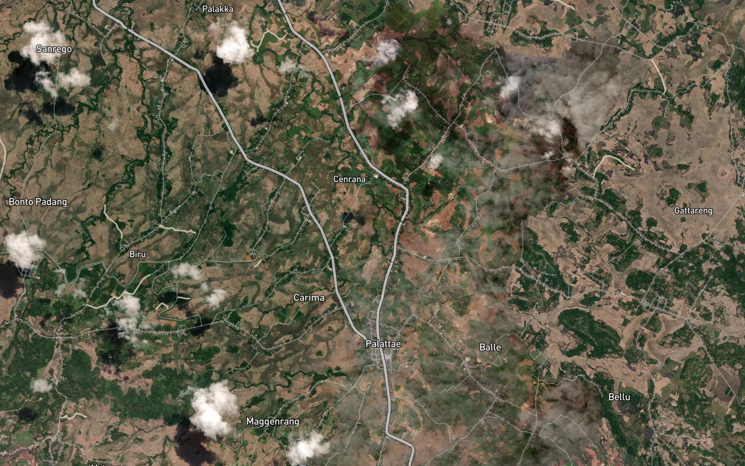 Salo Palattae