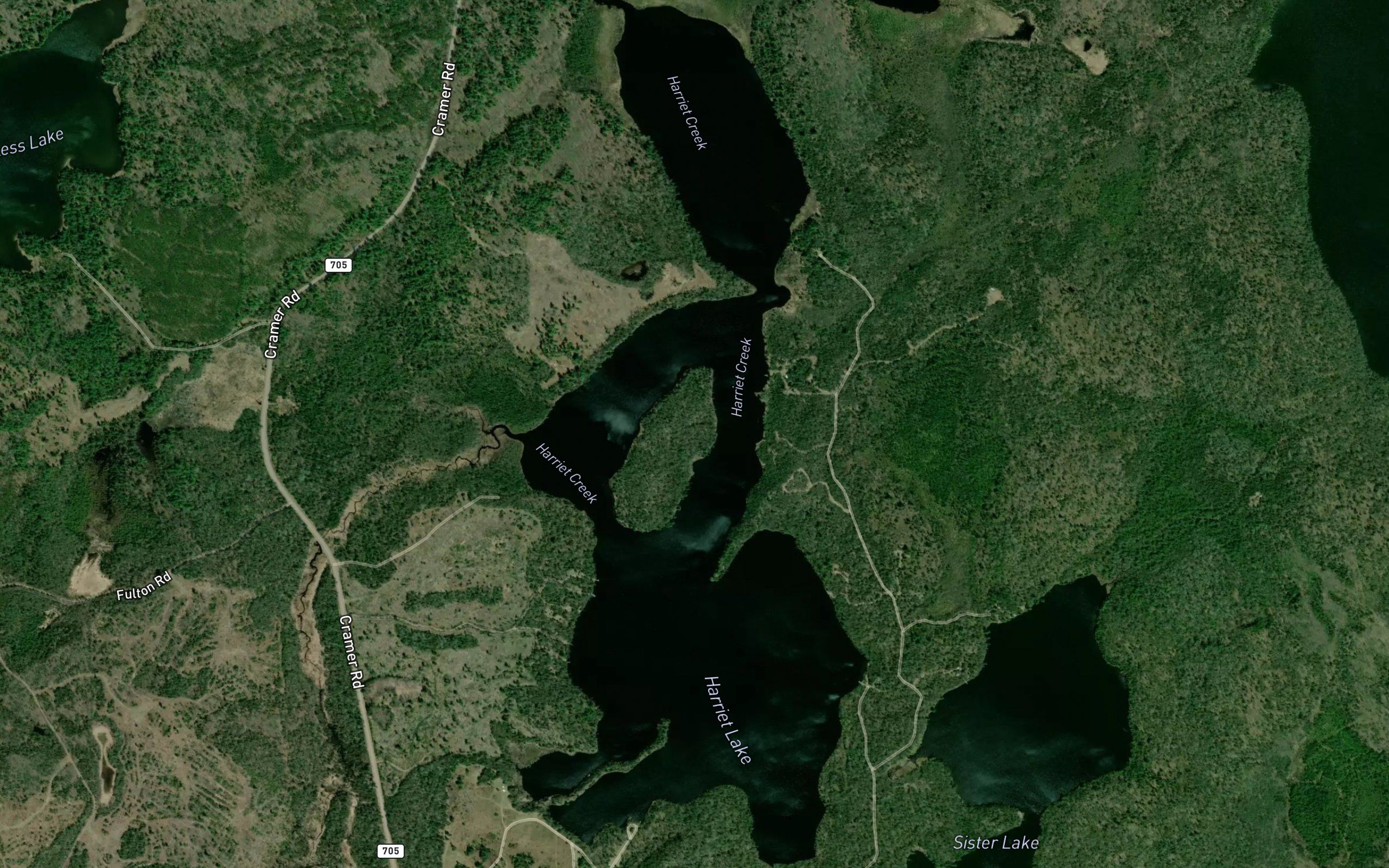 Harriet Lake