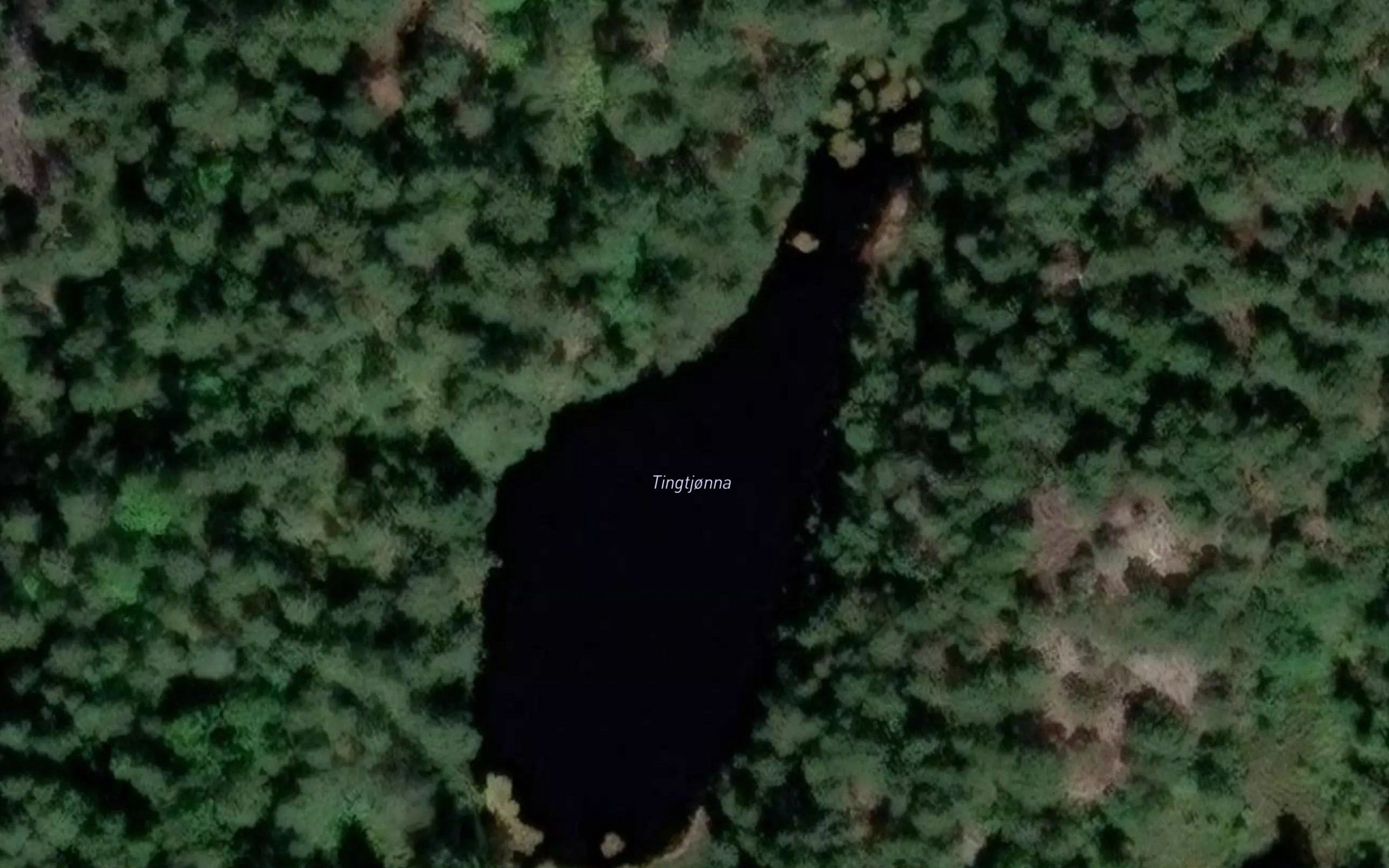 Tingtjonna