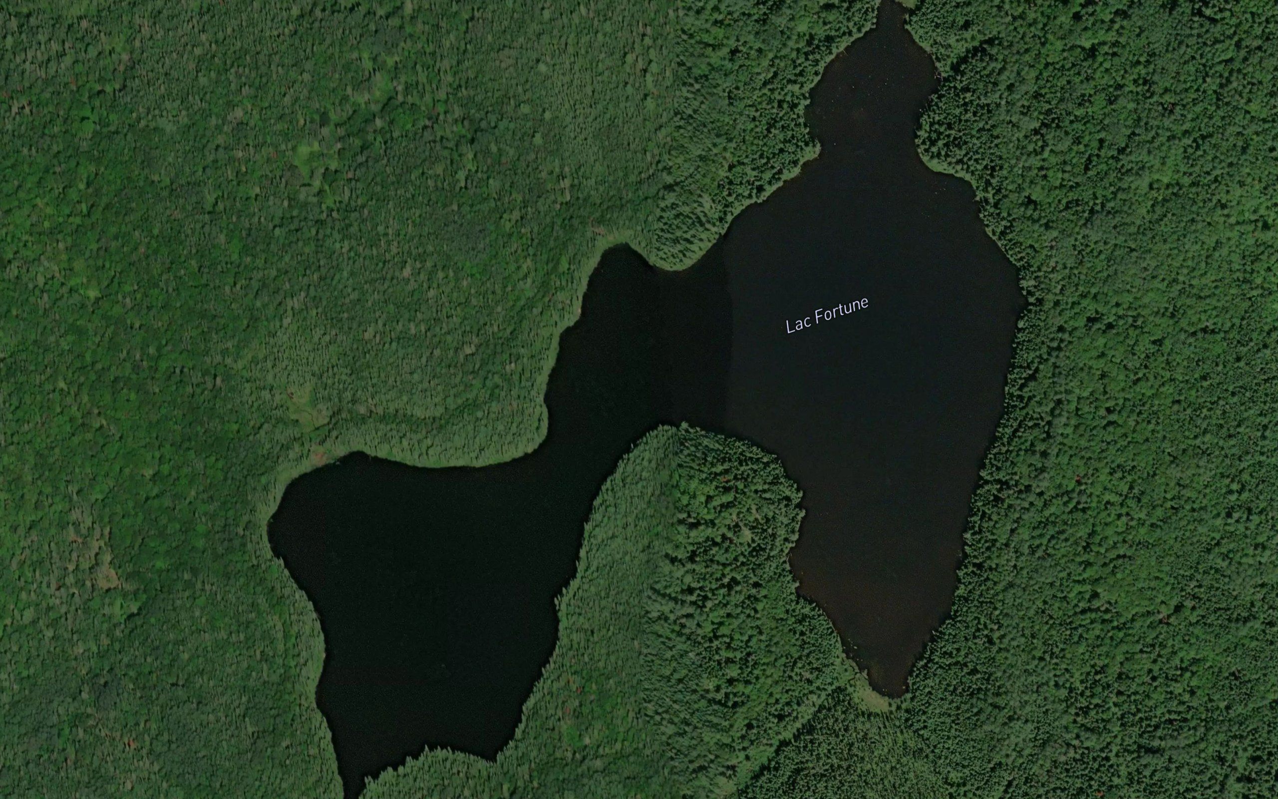 Lac Fortune