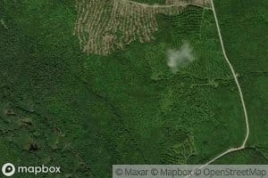 North Branch Duck Brook