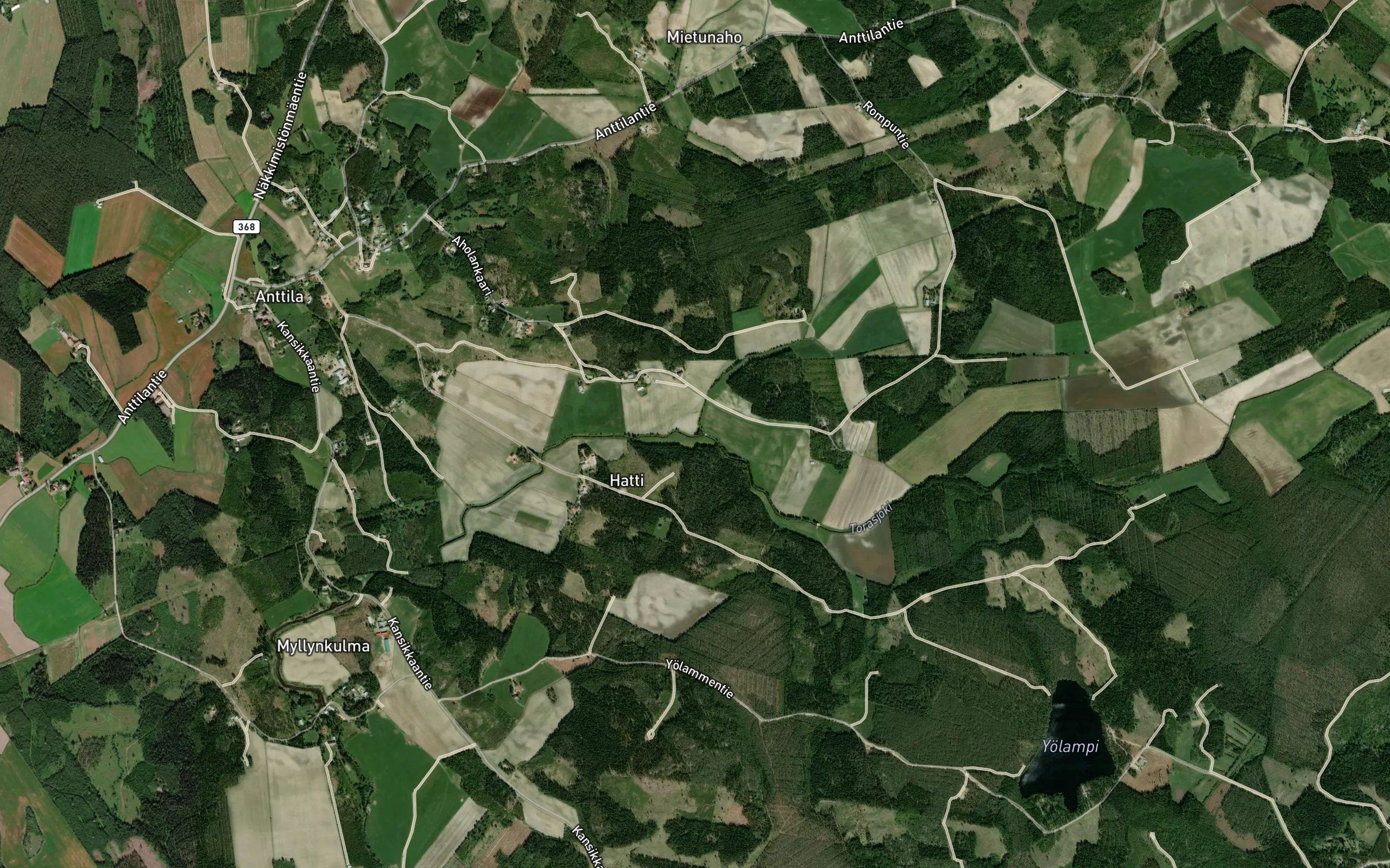 Maatikinviepa