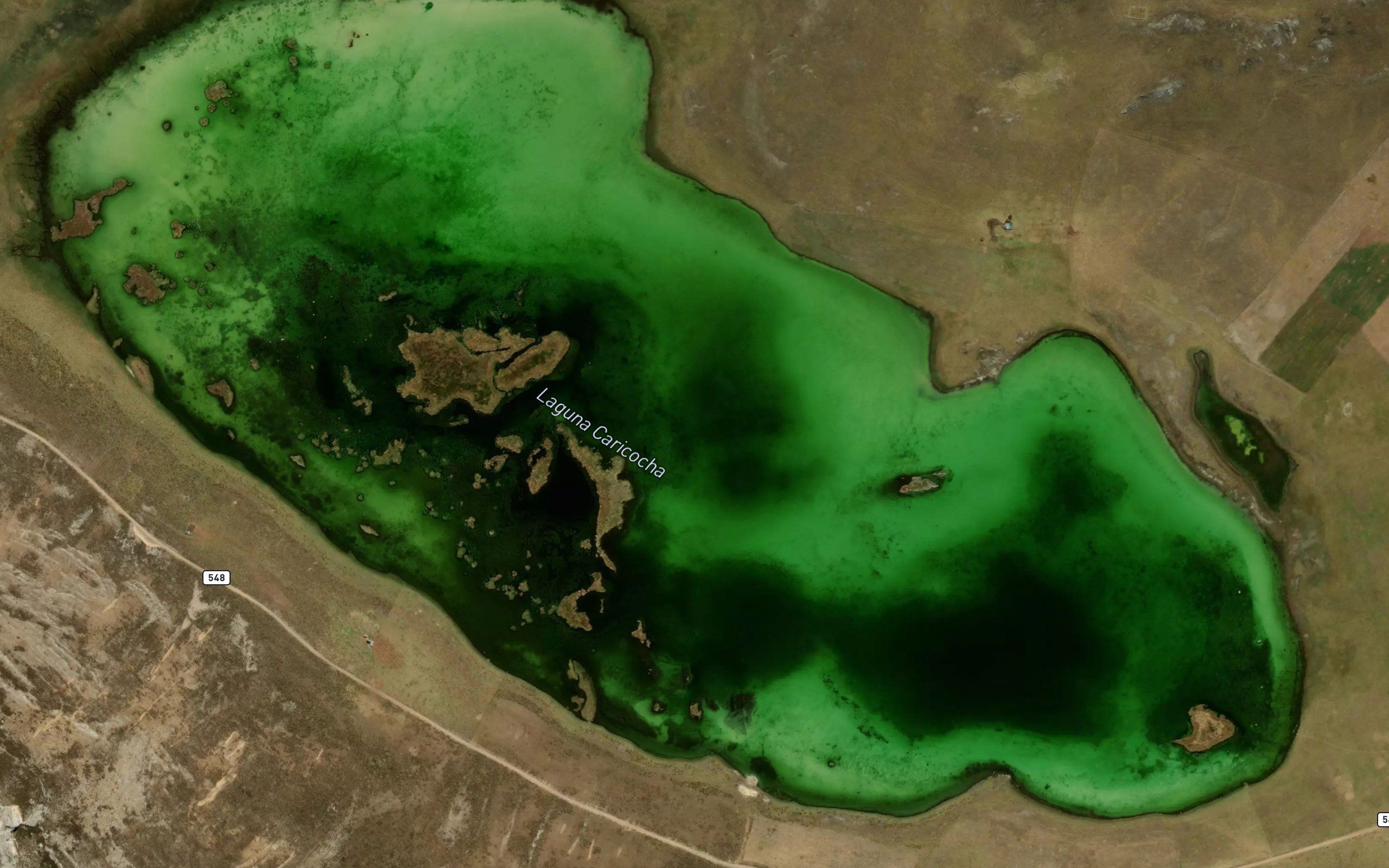 Laguna Caricocha