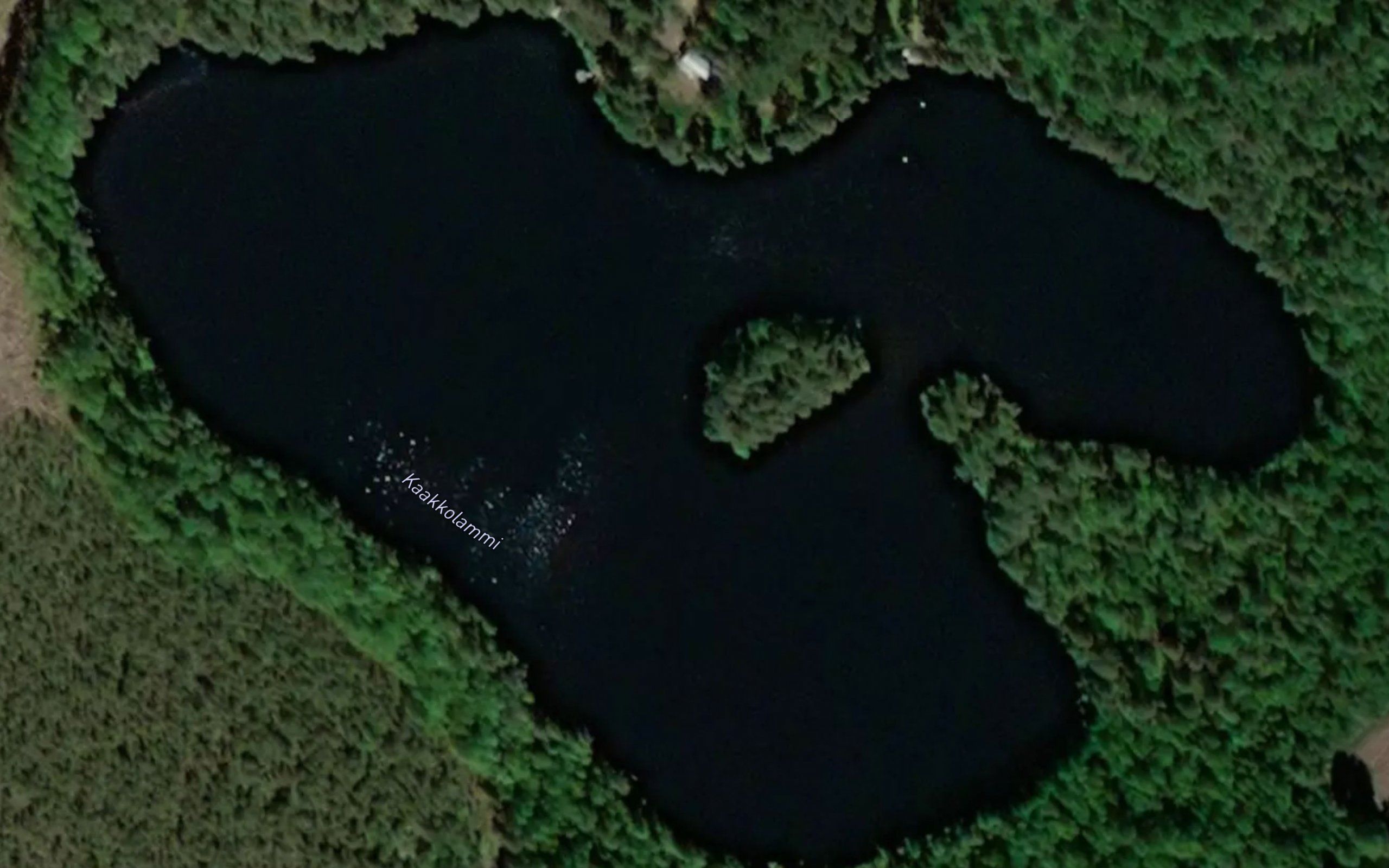 Kaakkolammi
