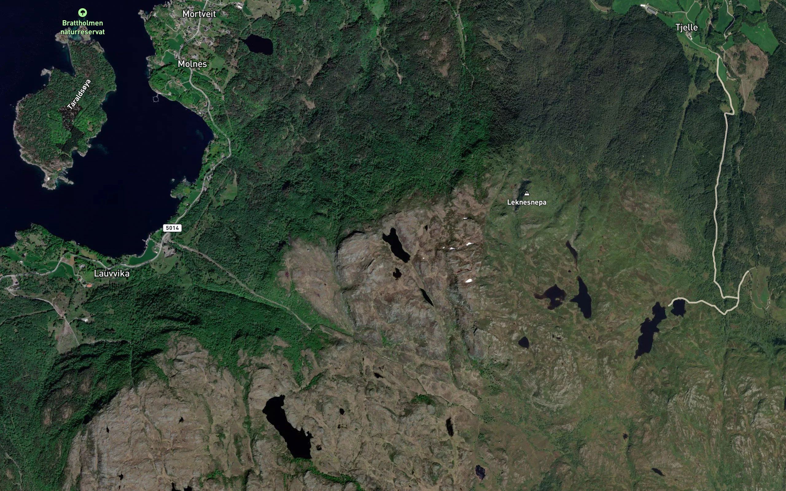 Martveitvatnet