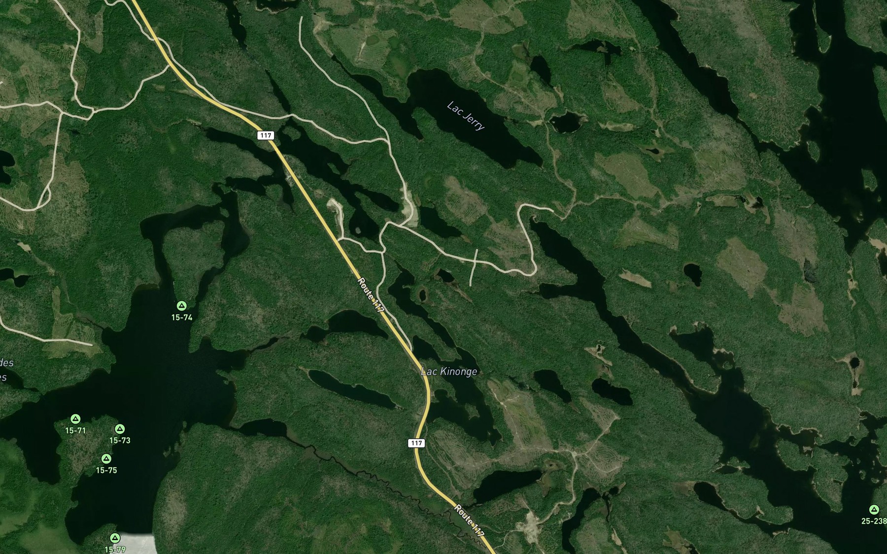 Satellite map of the Lac Gruissan