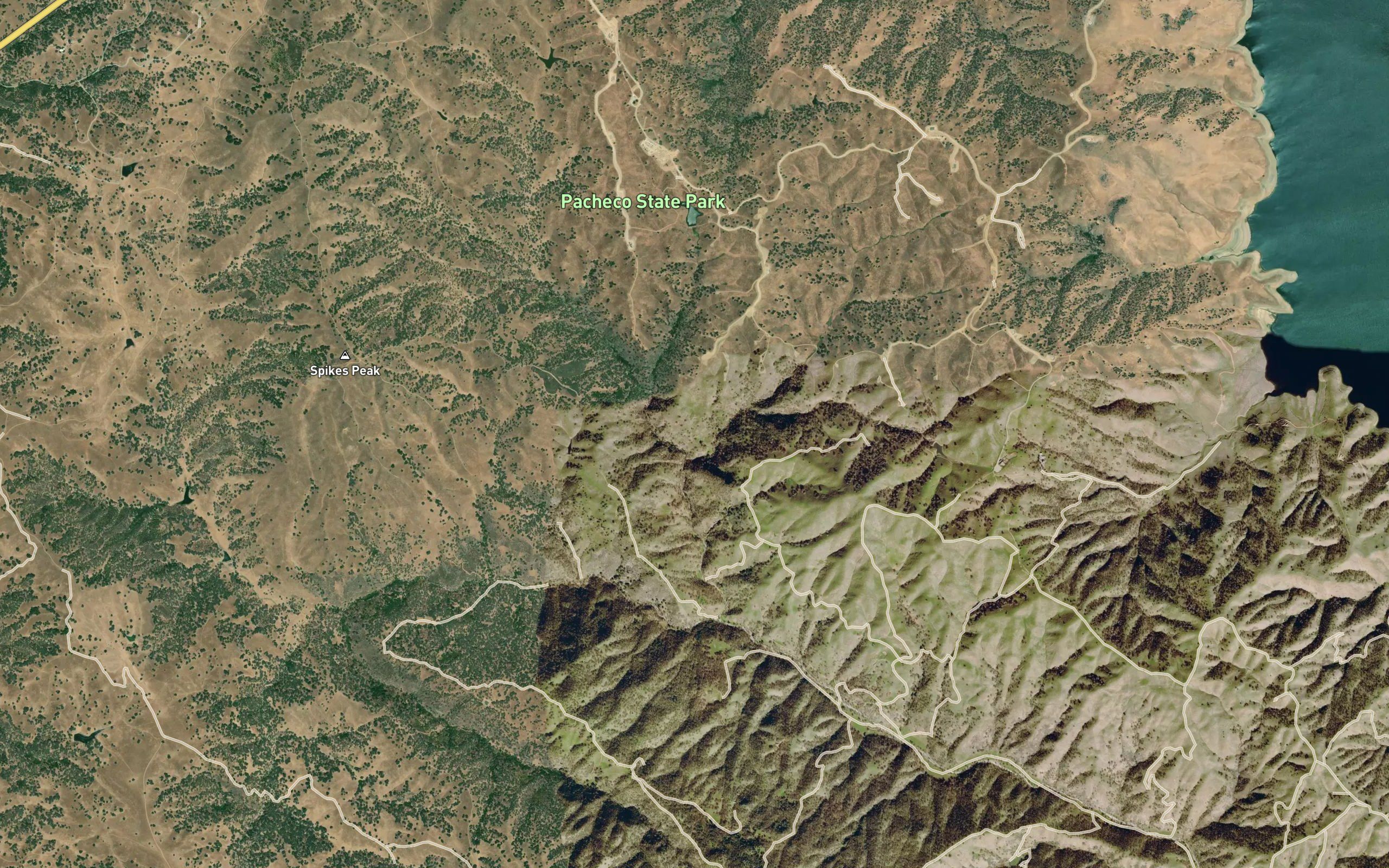 Langston Spring