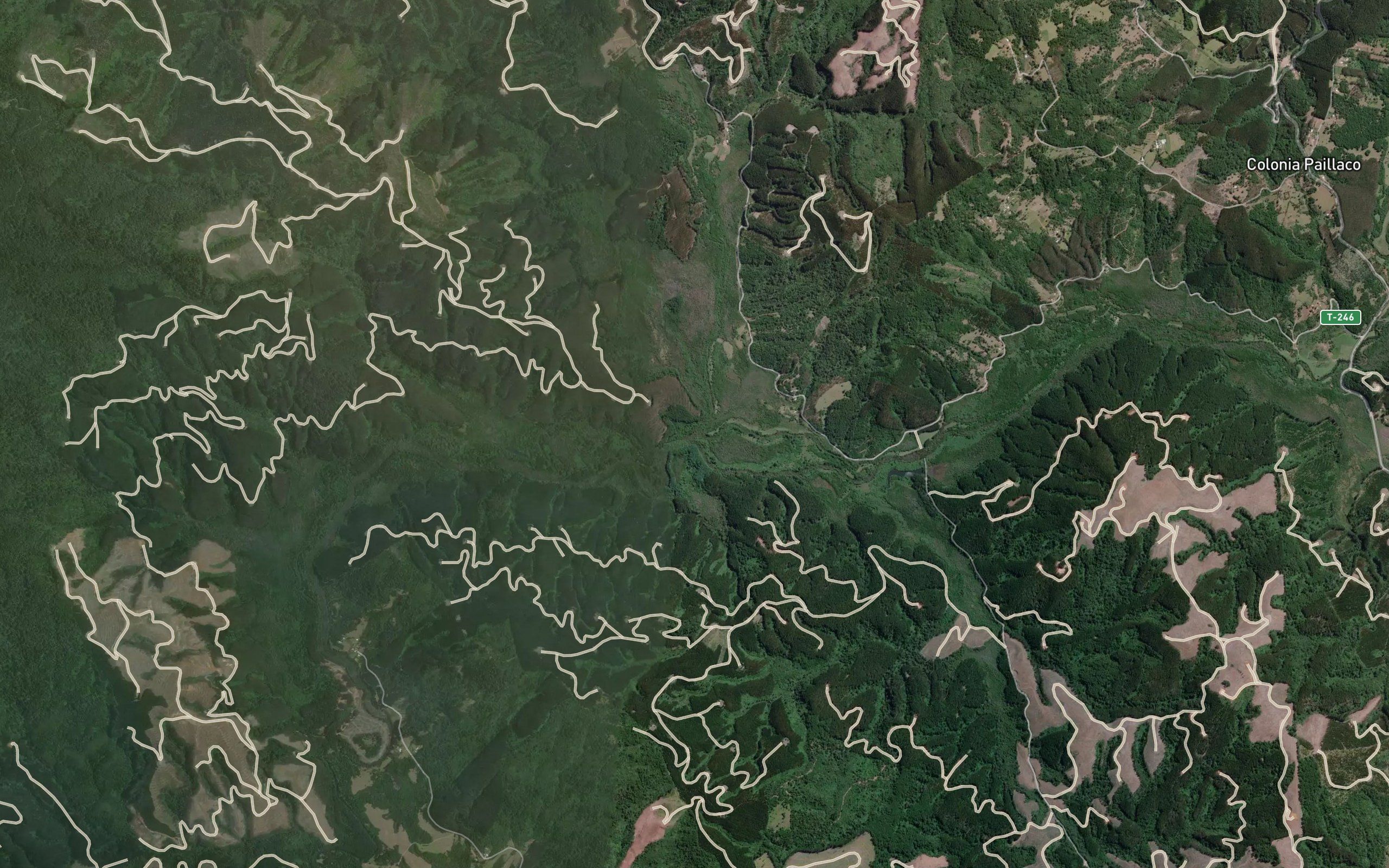 Estero Chacayal