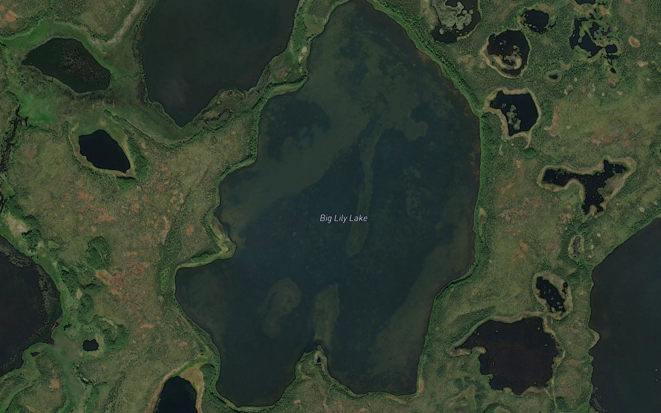 Big Lily Lake