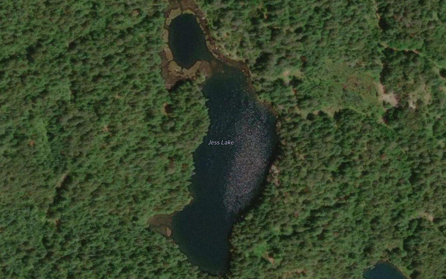 Satellite map of the Jess Lake