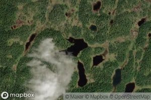 Silkevatna