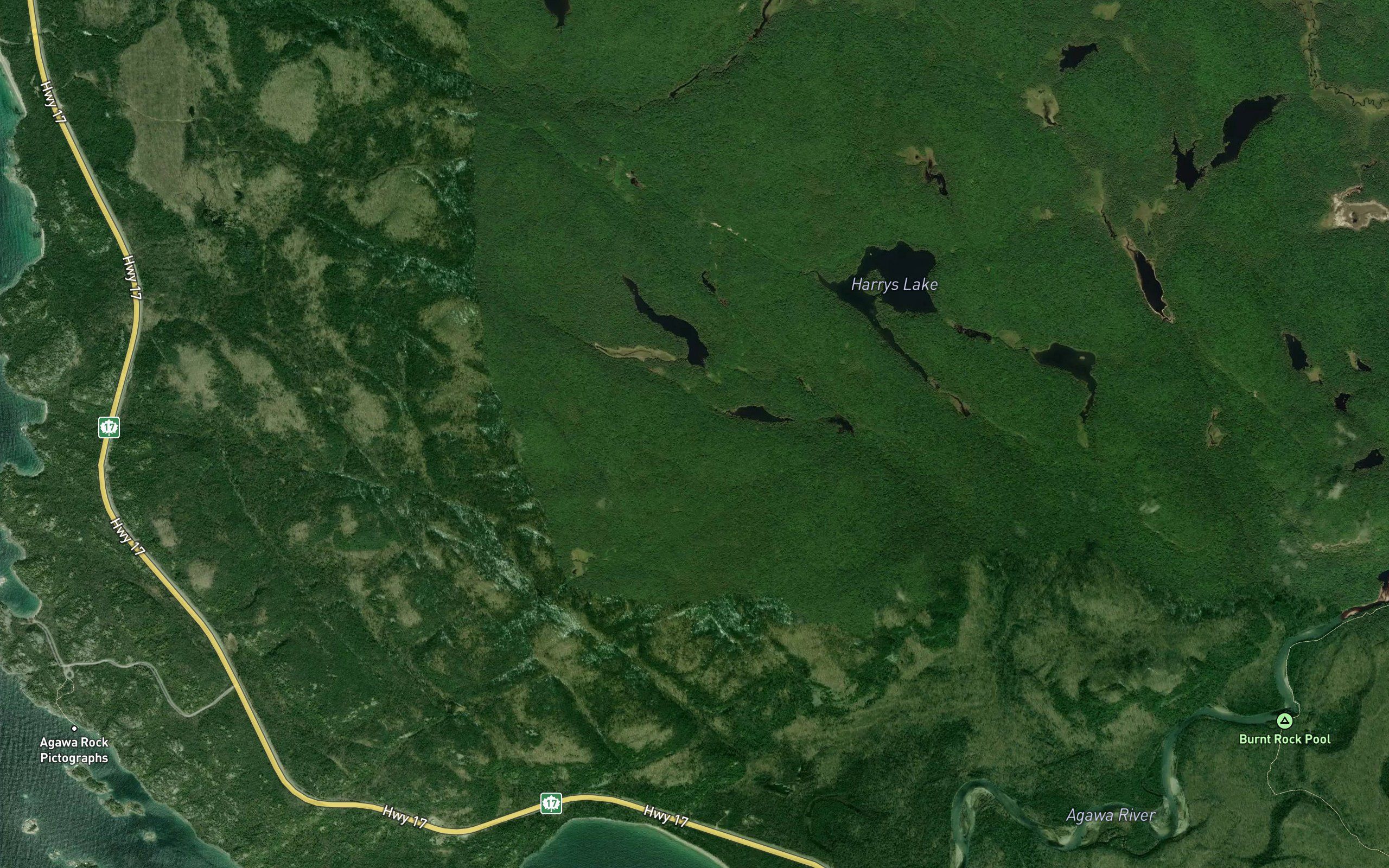 The Duck Ponds