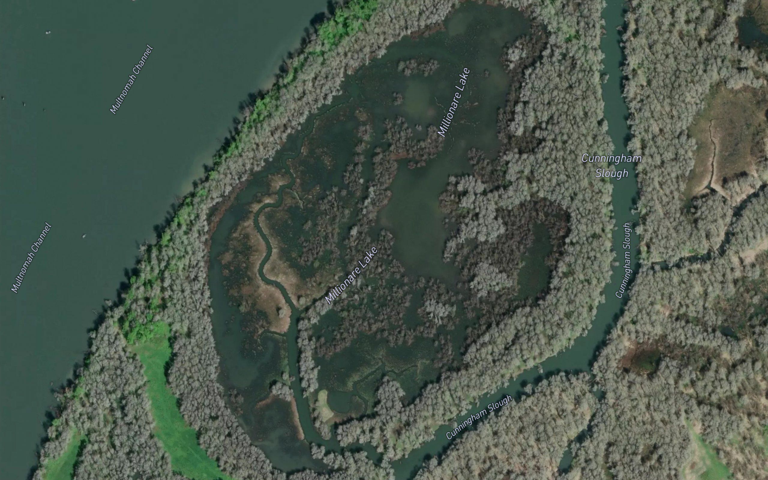 Millionaire Lake