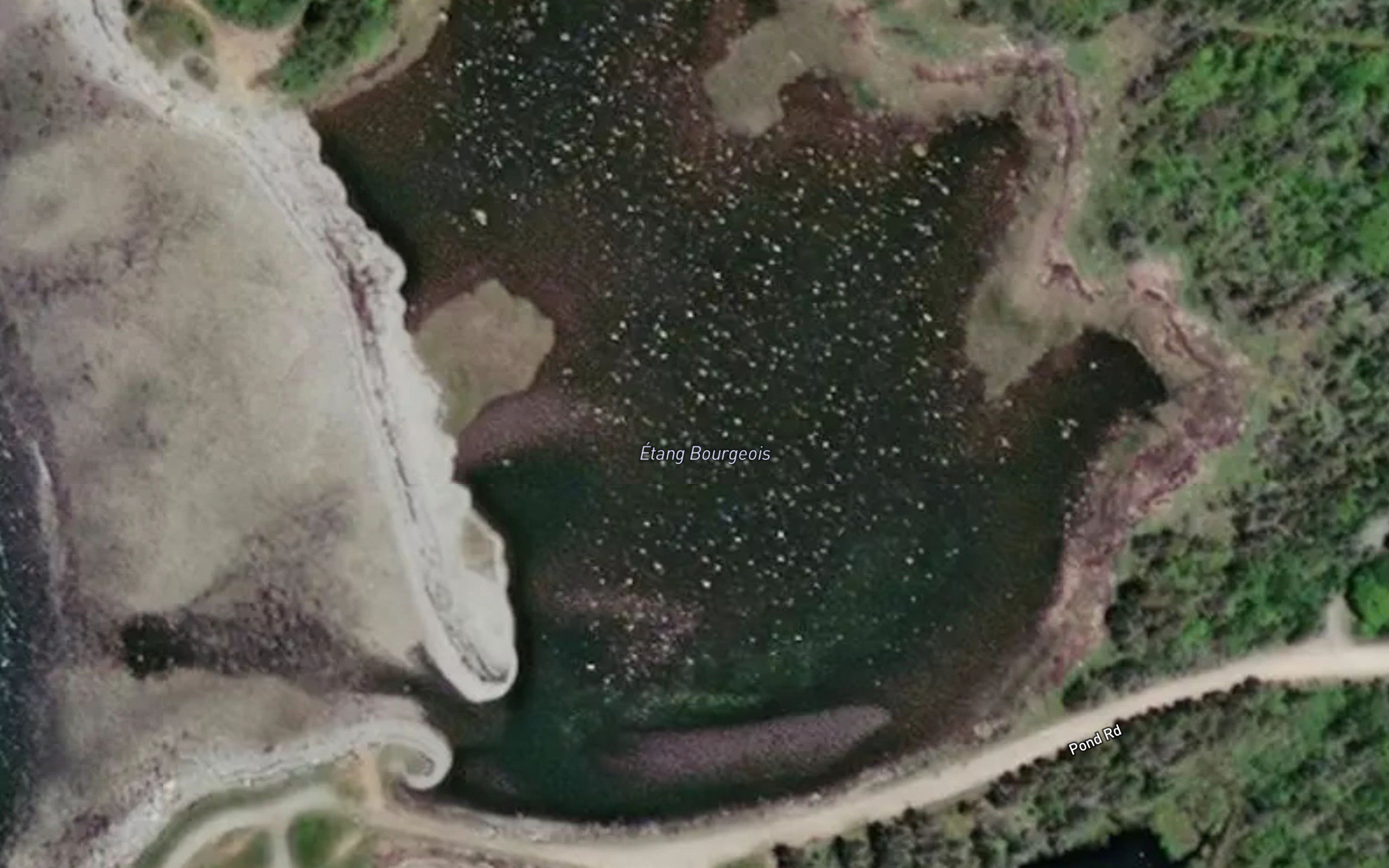 Etang Bourgeois