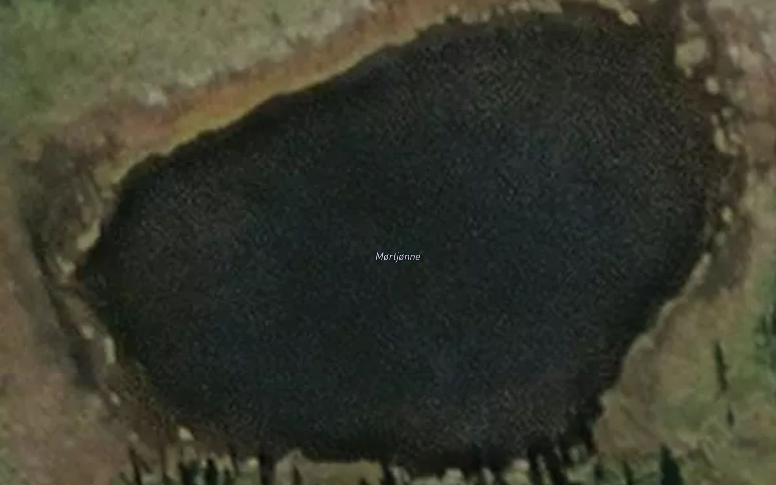Mortjorni
