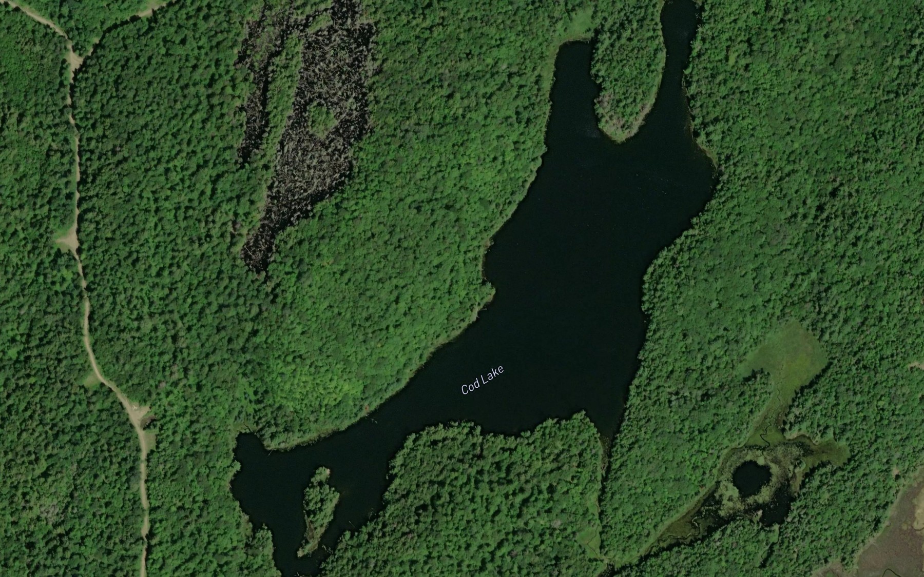 Satellite map of the Cod Lake