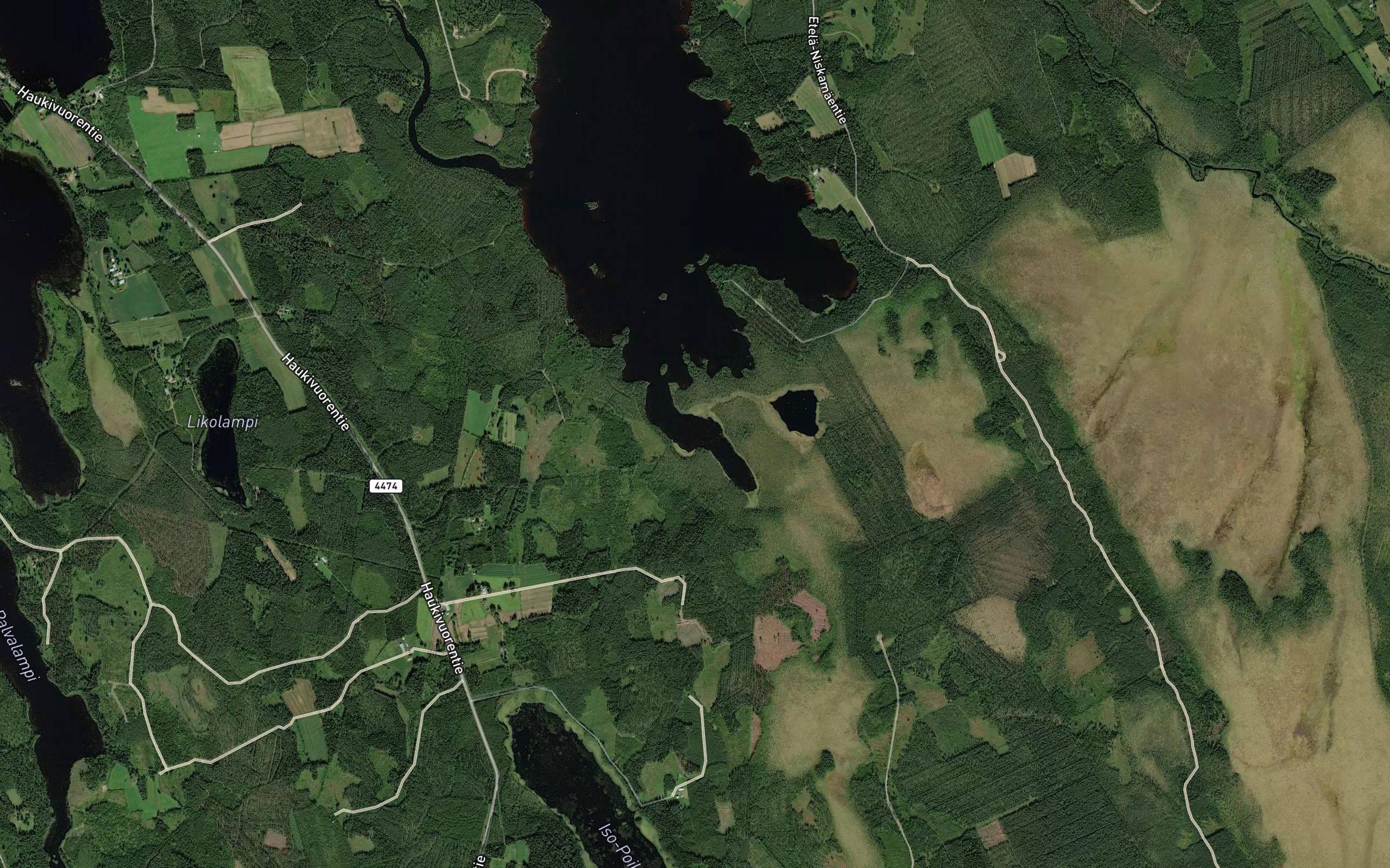Pitkalahti