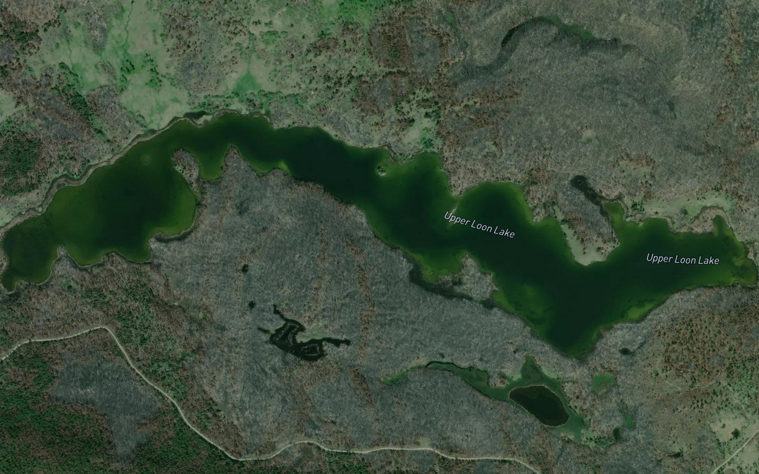 Upper Loon Lake