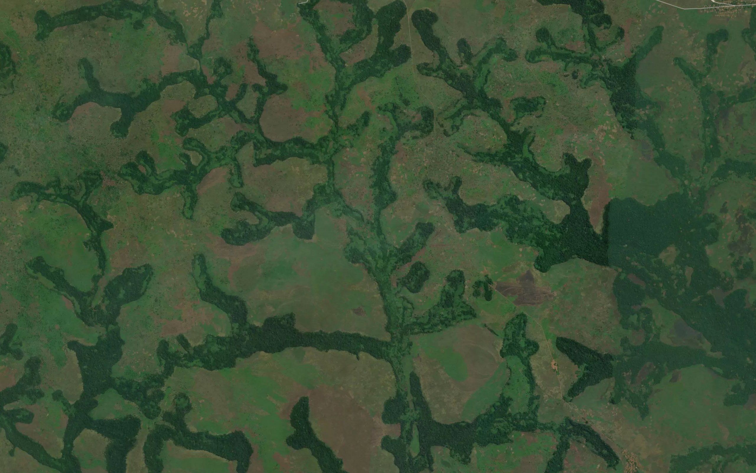 Kalamba