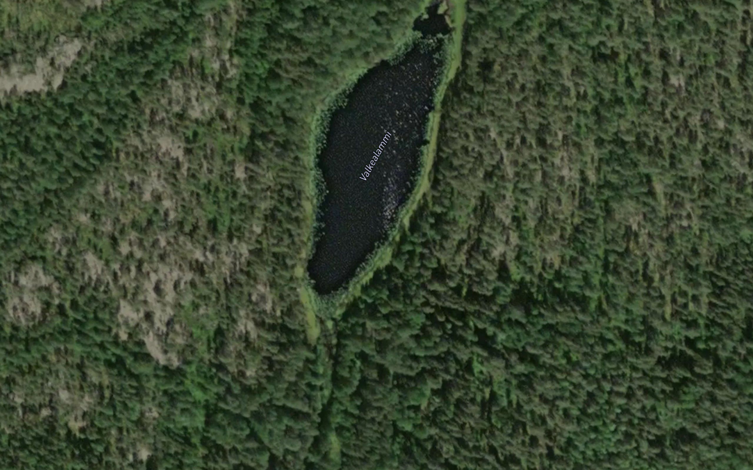 Valkealammi