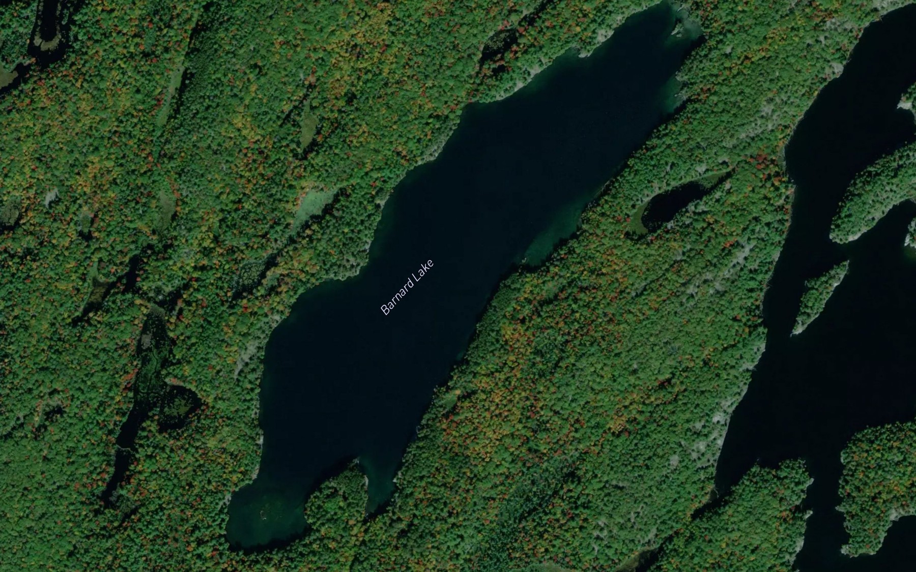 Satellite map of the Barnard Lake