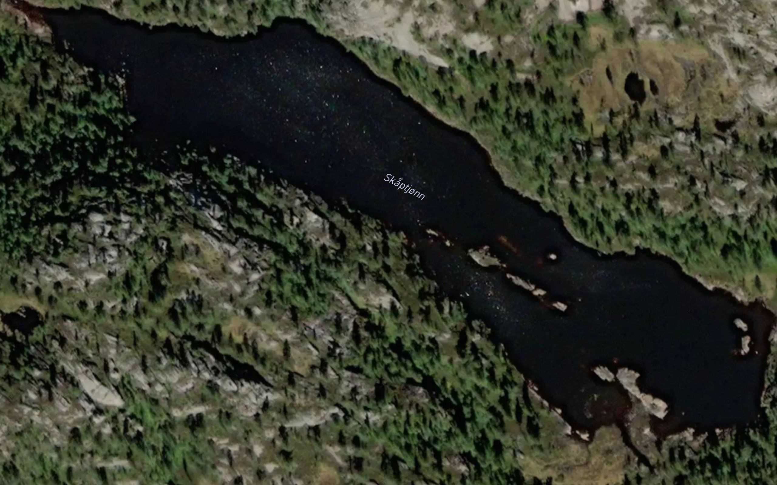 Skaptjorn