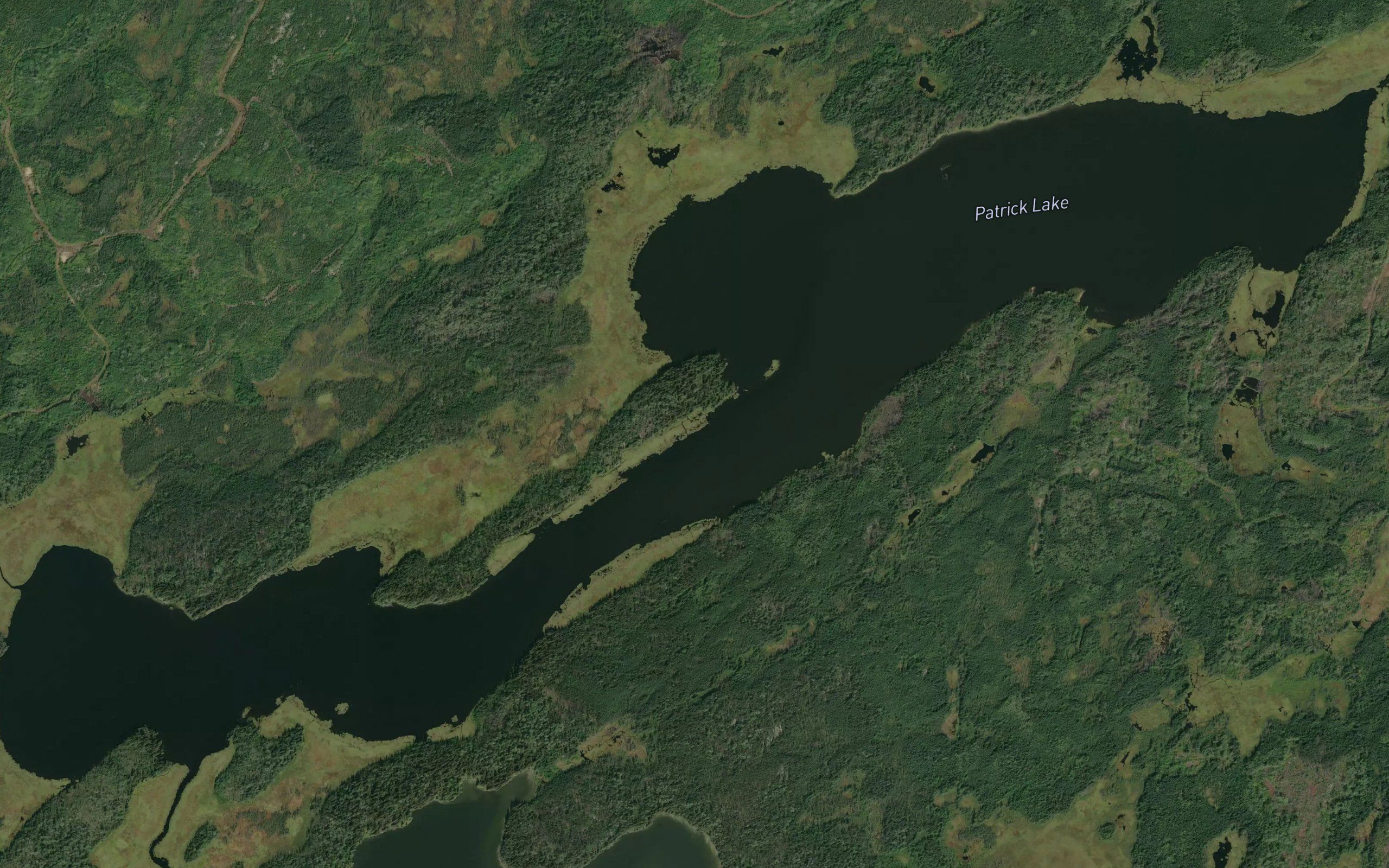Patrick Lake