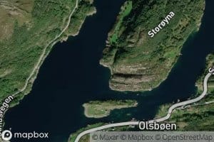 Svinevika