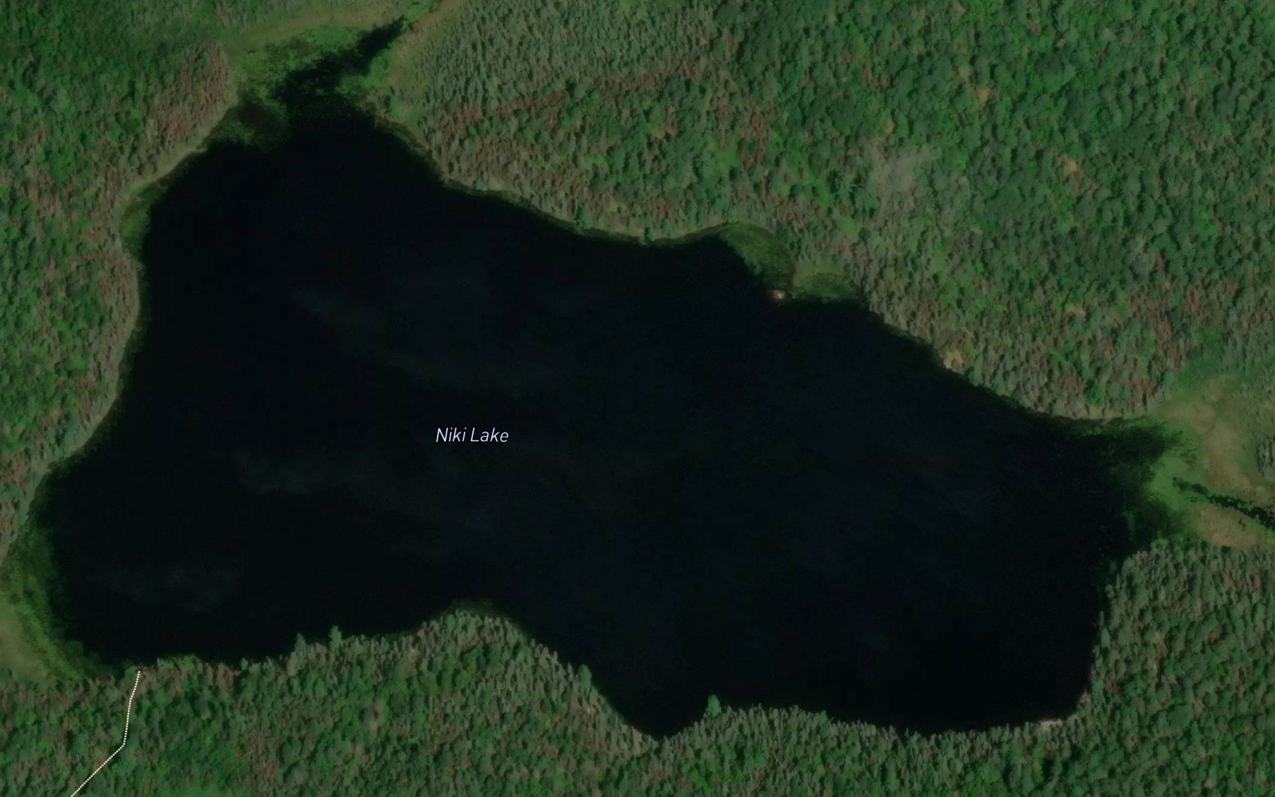 Niki Lake