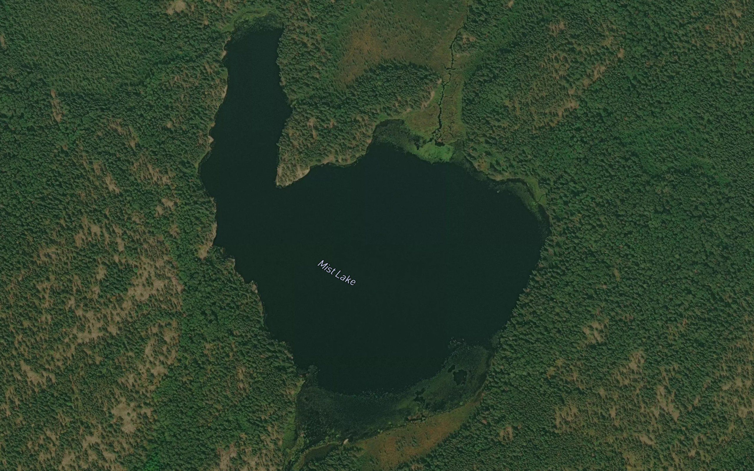 Mist Lake