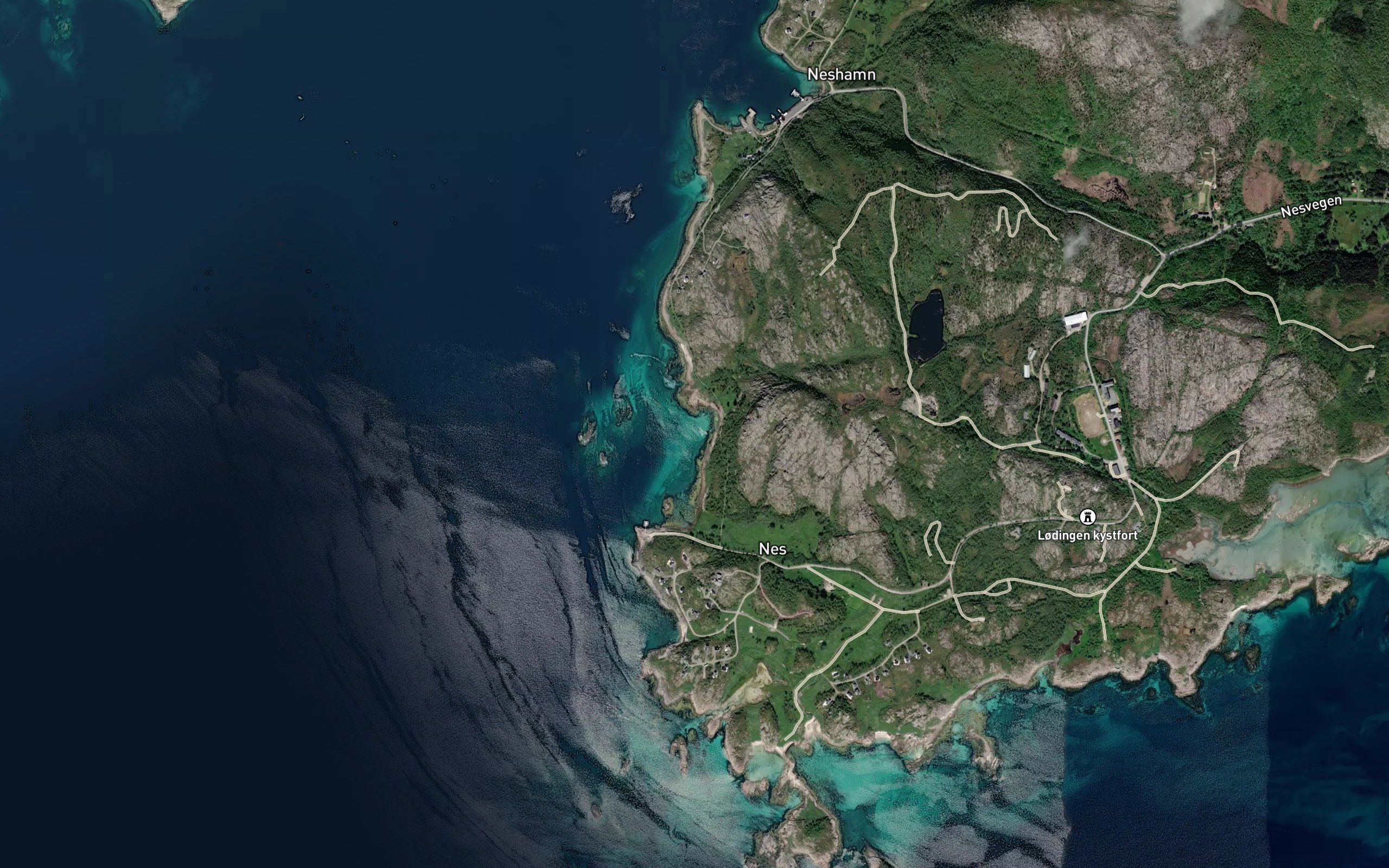 Skjavika