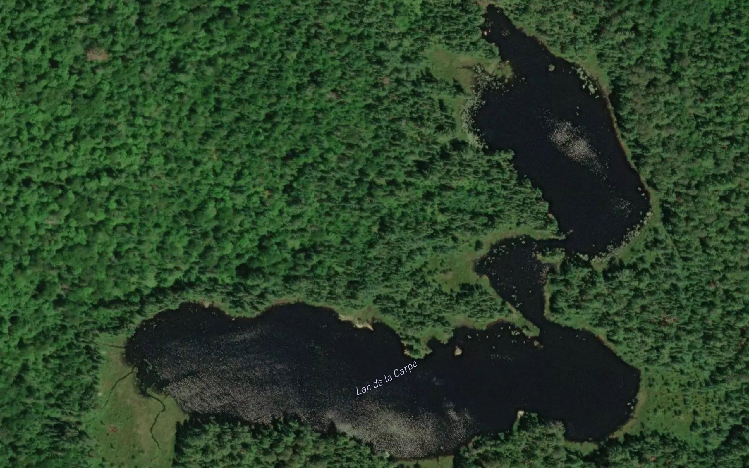Lac de la Carpe