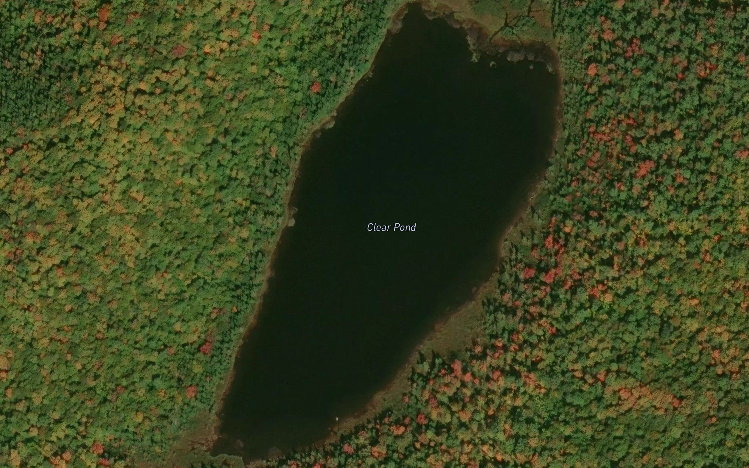 Clear Pond