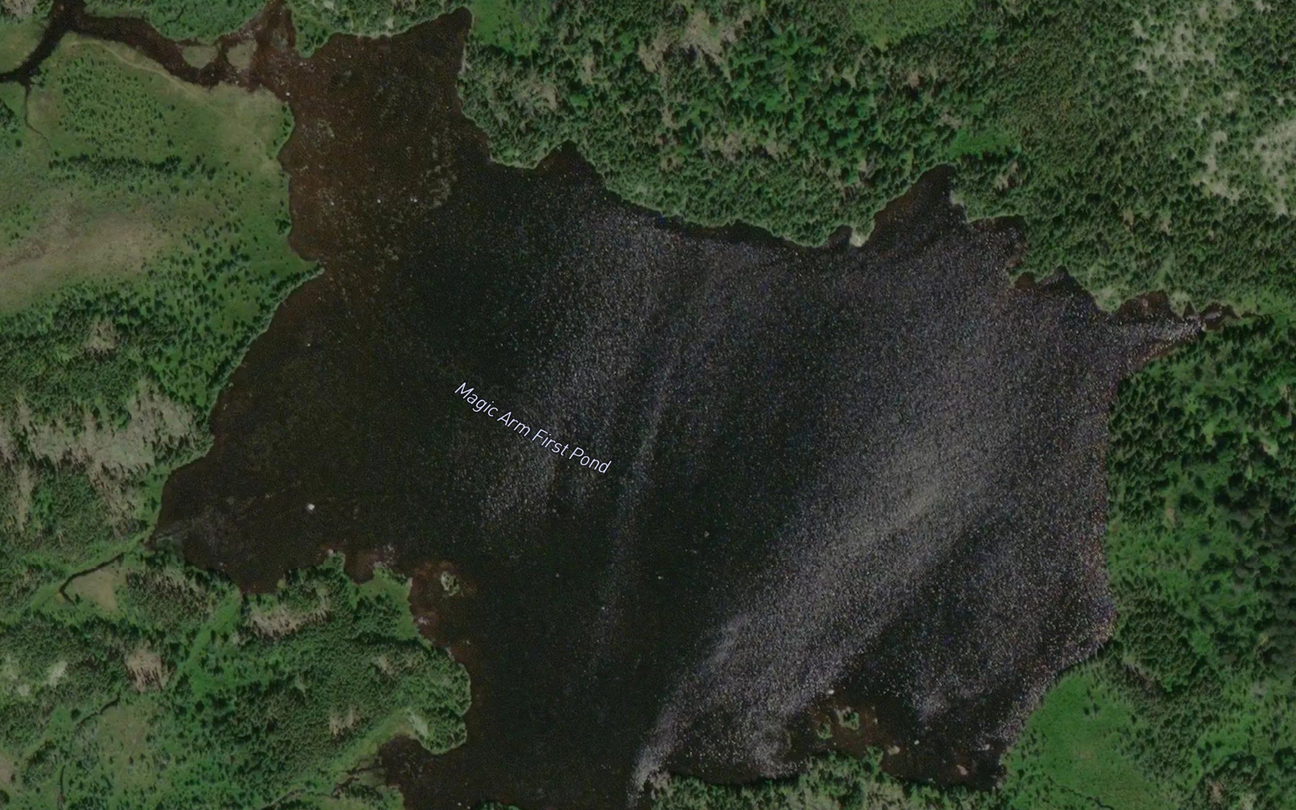 Magic Arm First Pond