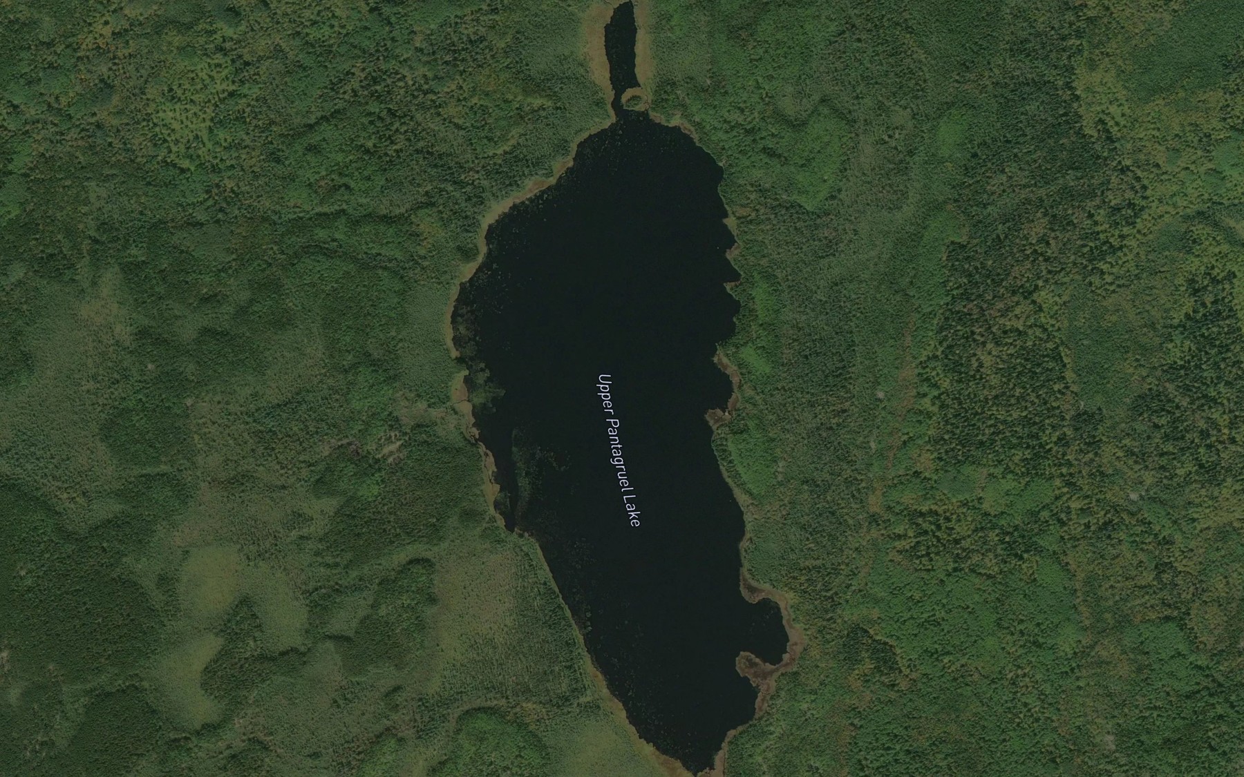 Satellite map of the Upper Pantagruel Lake