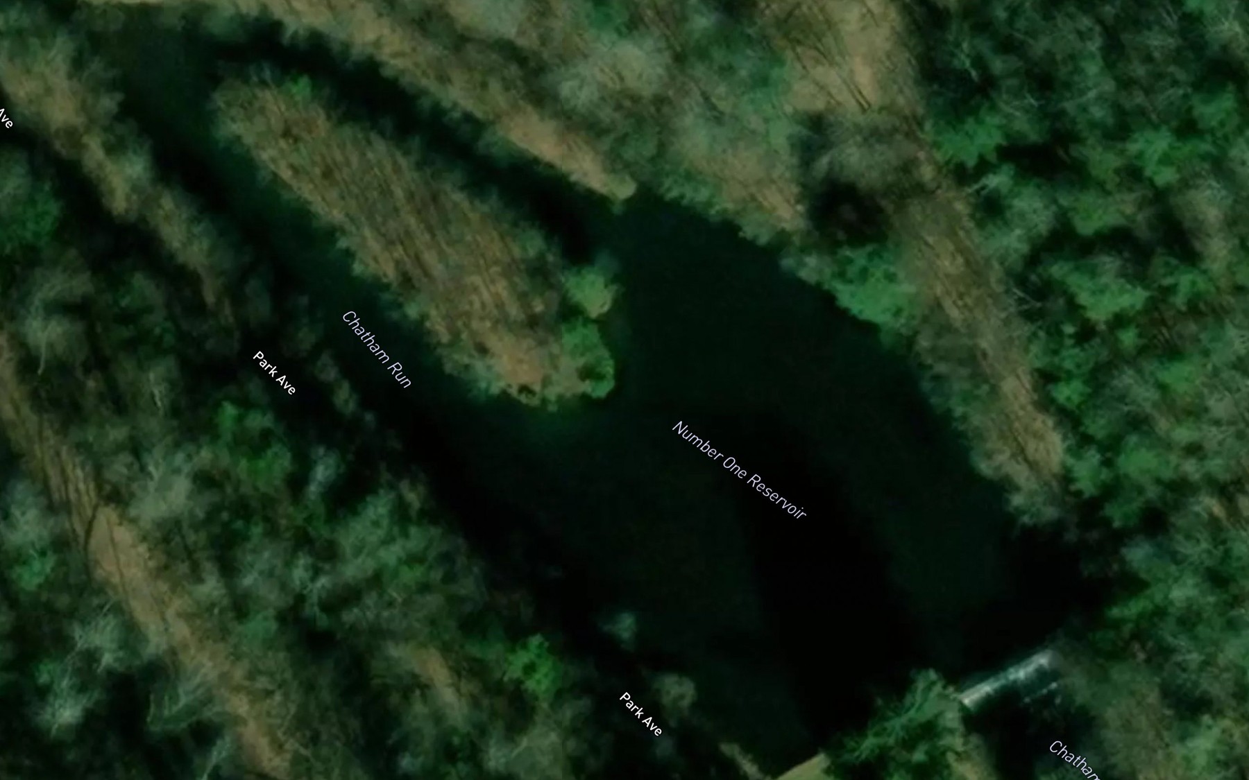 Satellite map of the Number One Reservoir